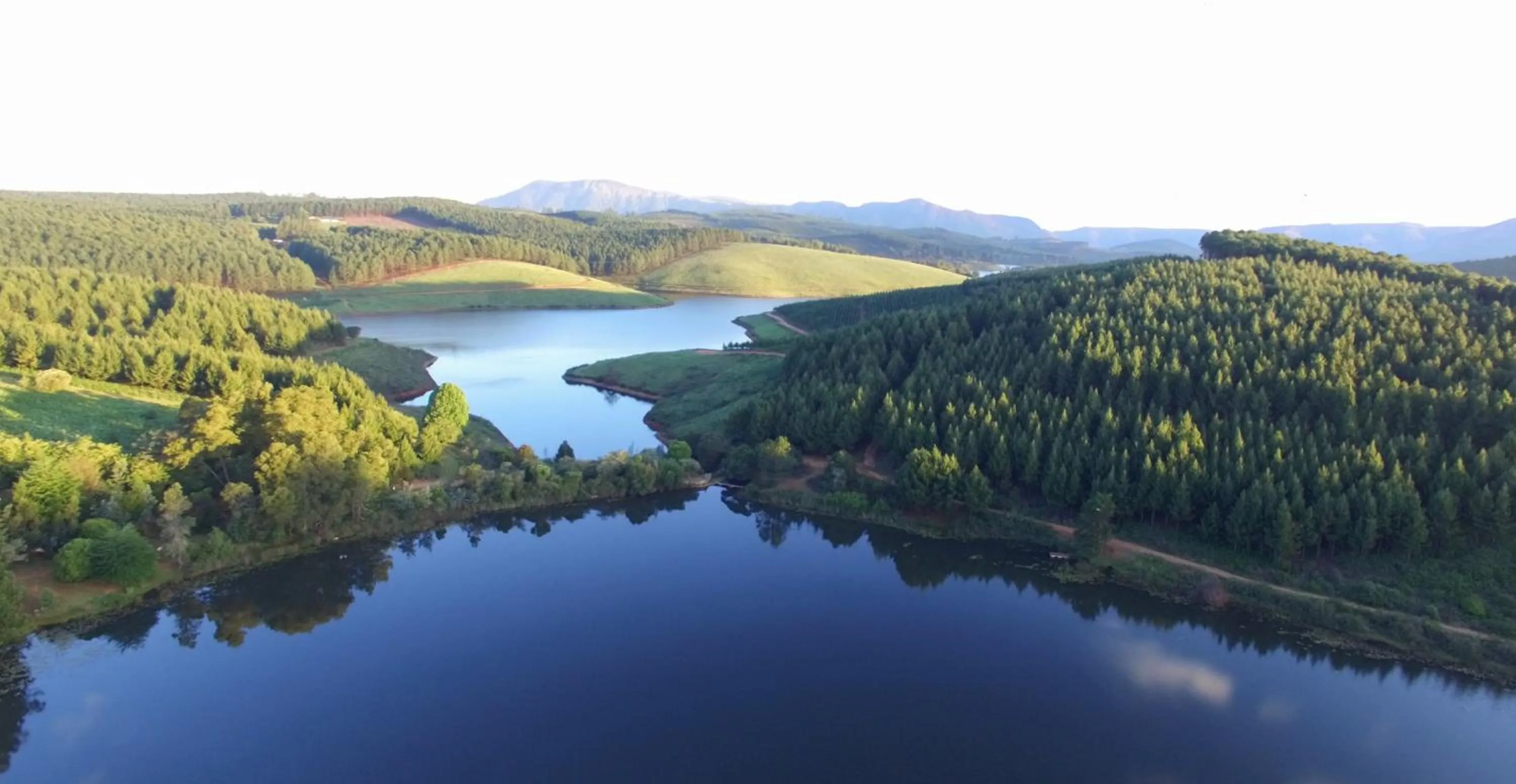 Natural landscape in Stanford Lake lodge