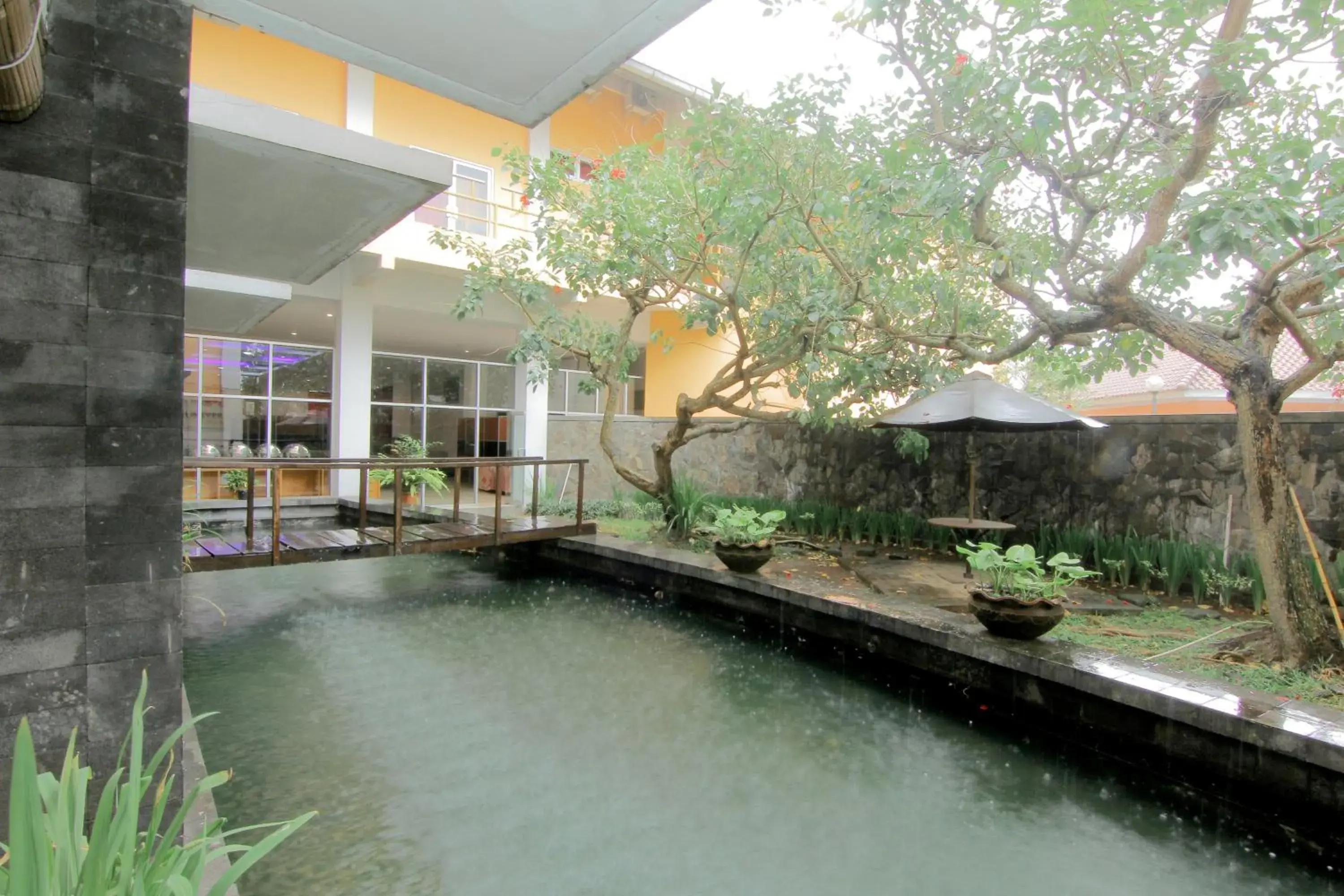 Garden, Swimming Pool in University Hotel