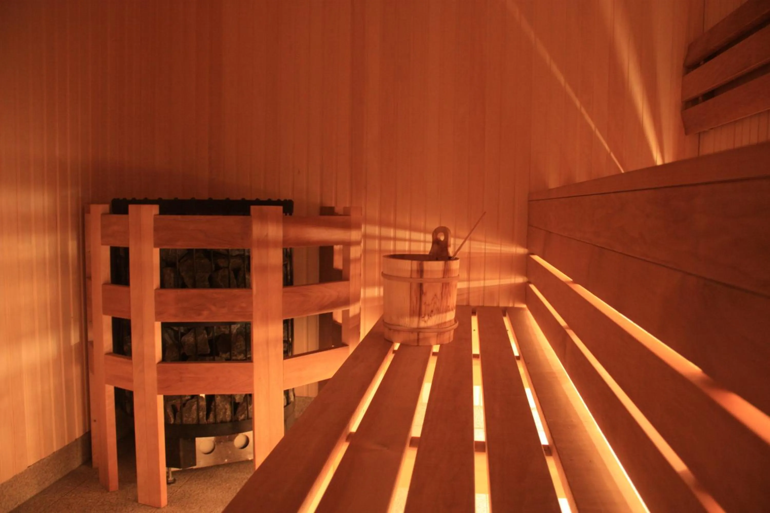 Sauna in Villa Park Wisełka Spa & Wellness