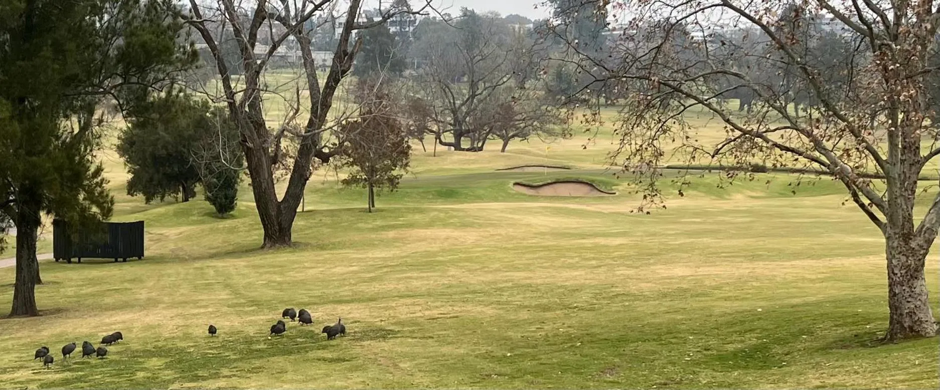 Golfcourse in Leighwood Lodge