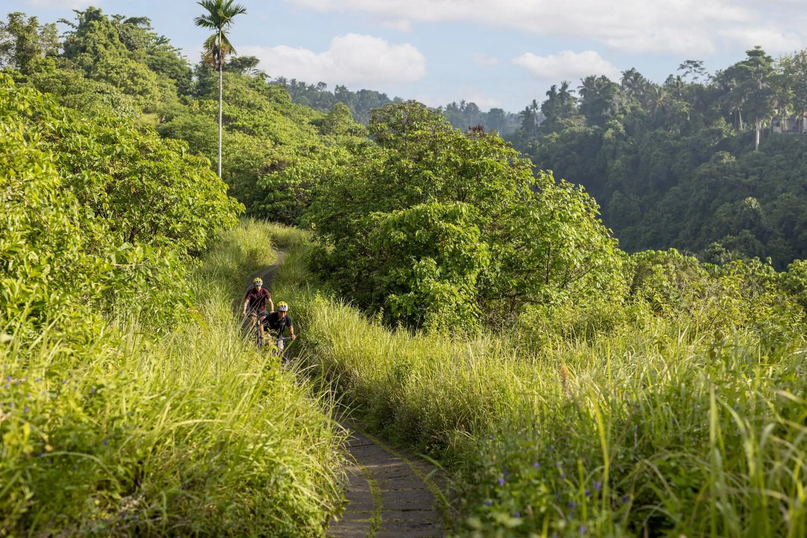 Activities in The Sankara Suites and Villas