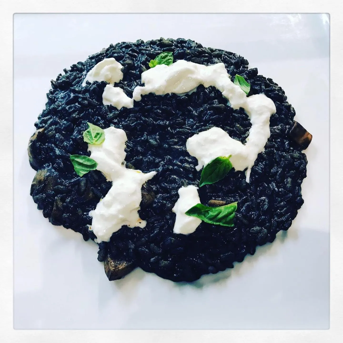 Restaurant/places to eat in Hotel Alex