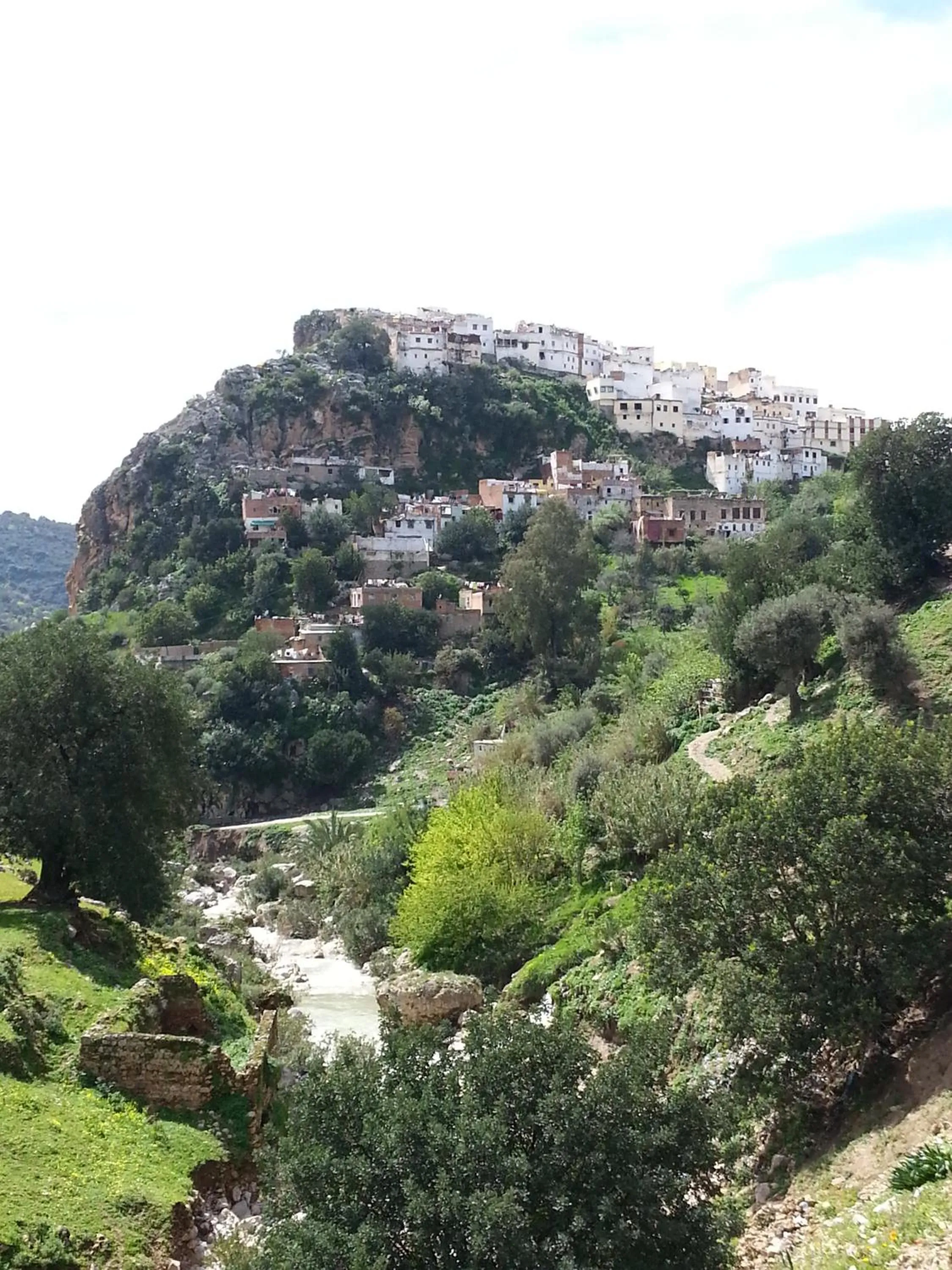 Neighbourhood in Dar Zerhoune