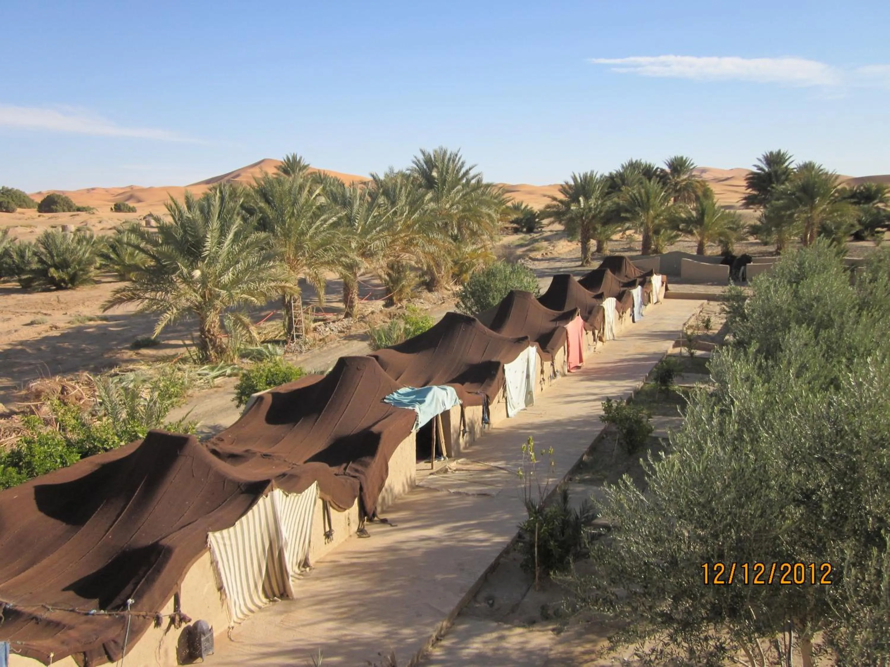 Natural landscape in Haven La Chance Desert Hotel