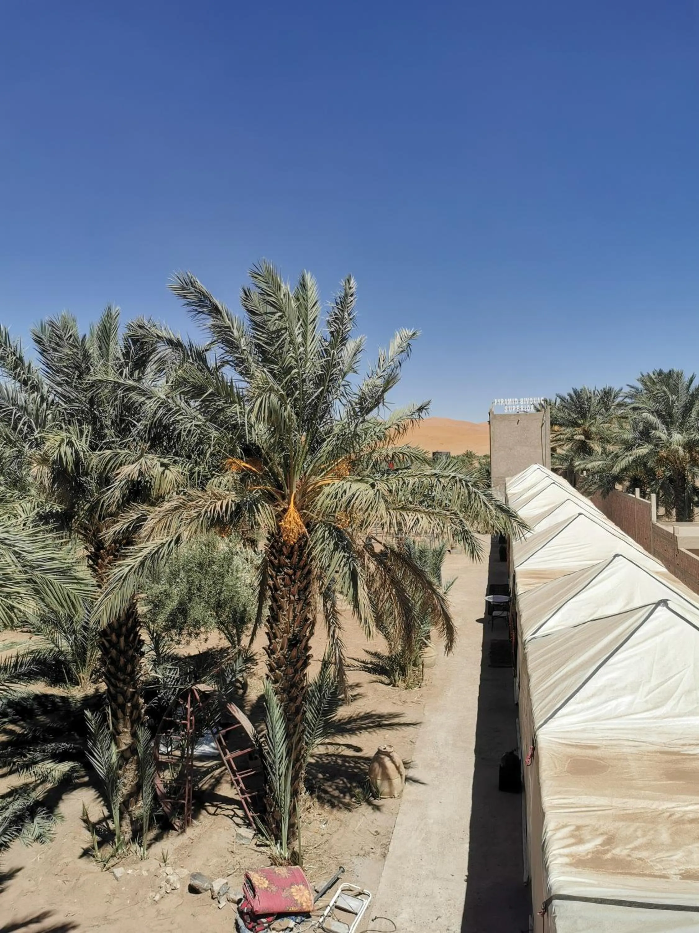 Day in Haven La Chance Desert Hotel