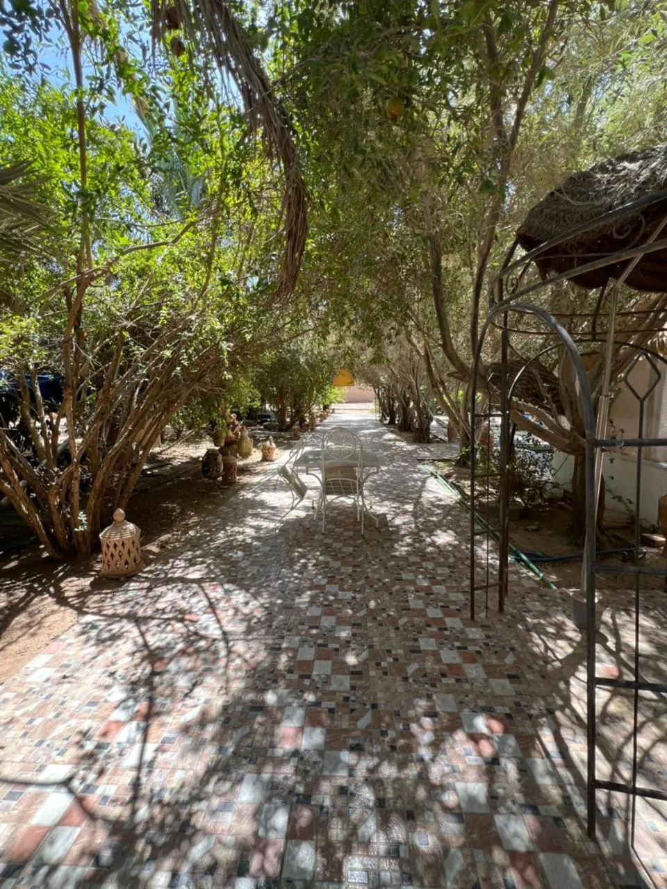 Property building in Haven La Chance Desert Hotel