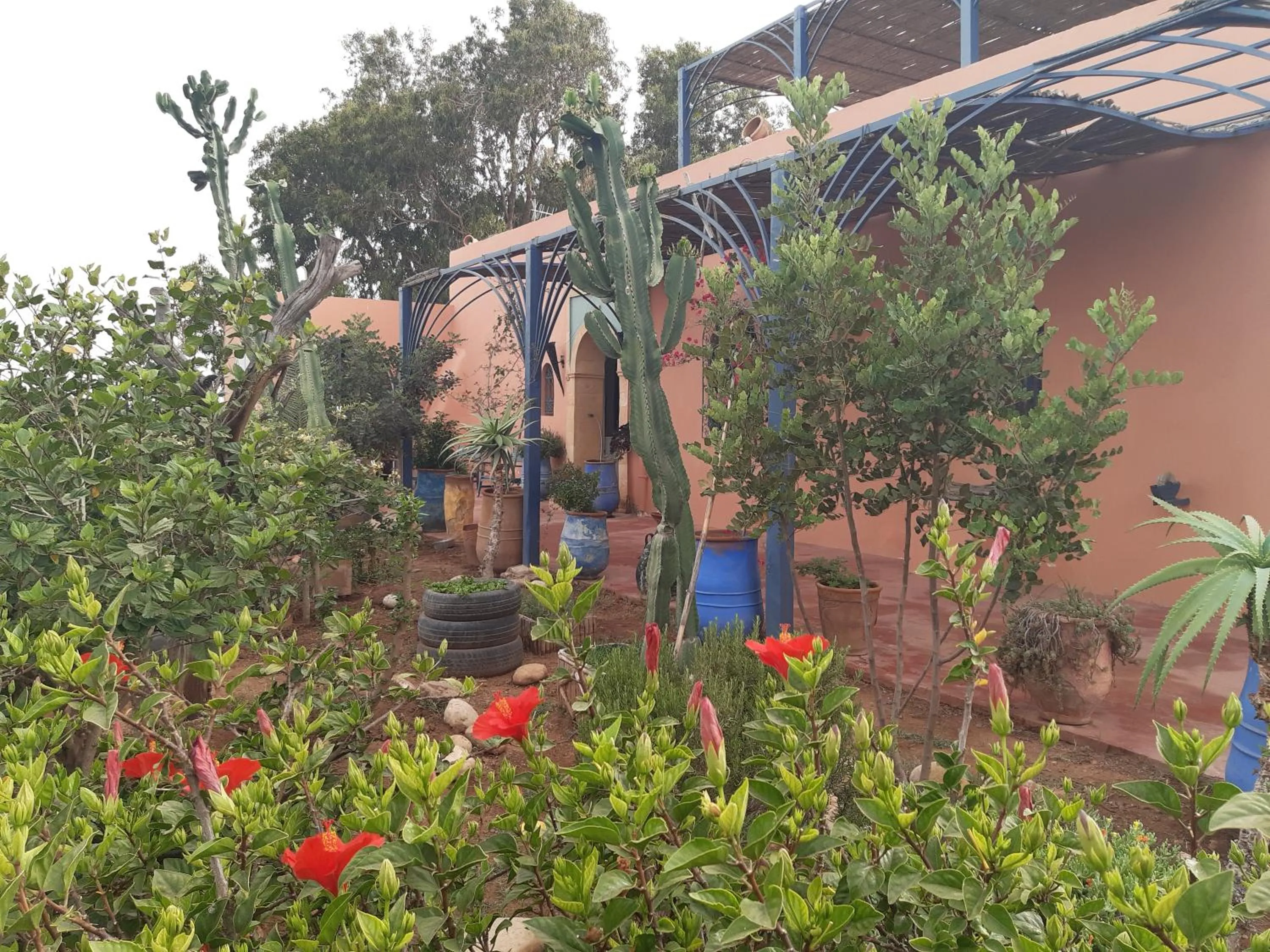 Facade/entrance in Riad Douar Des Oliviers