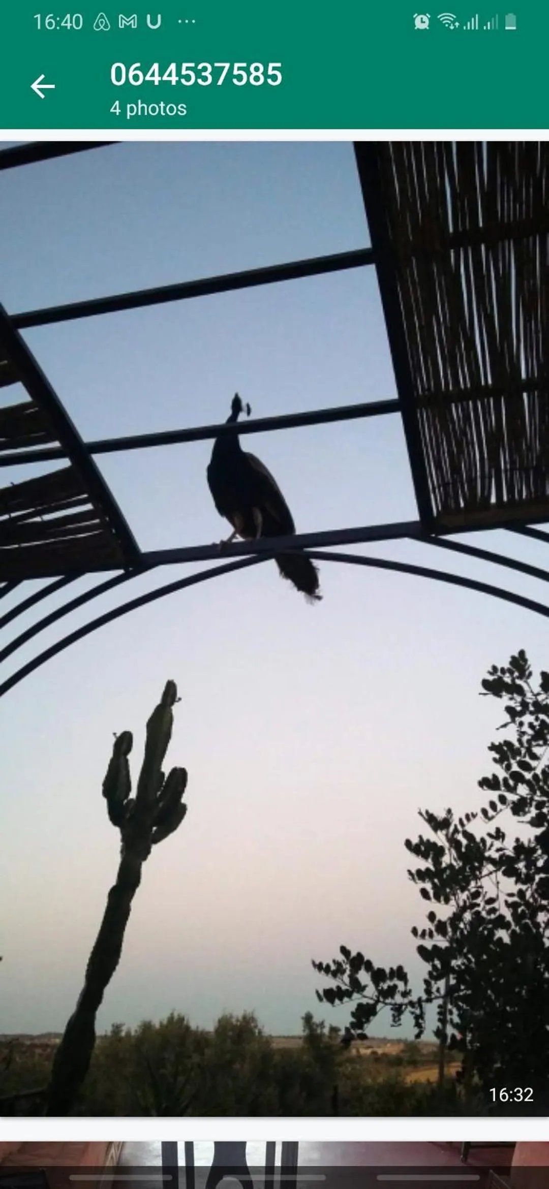 Animals in Riad Douar Des Oliviers