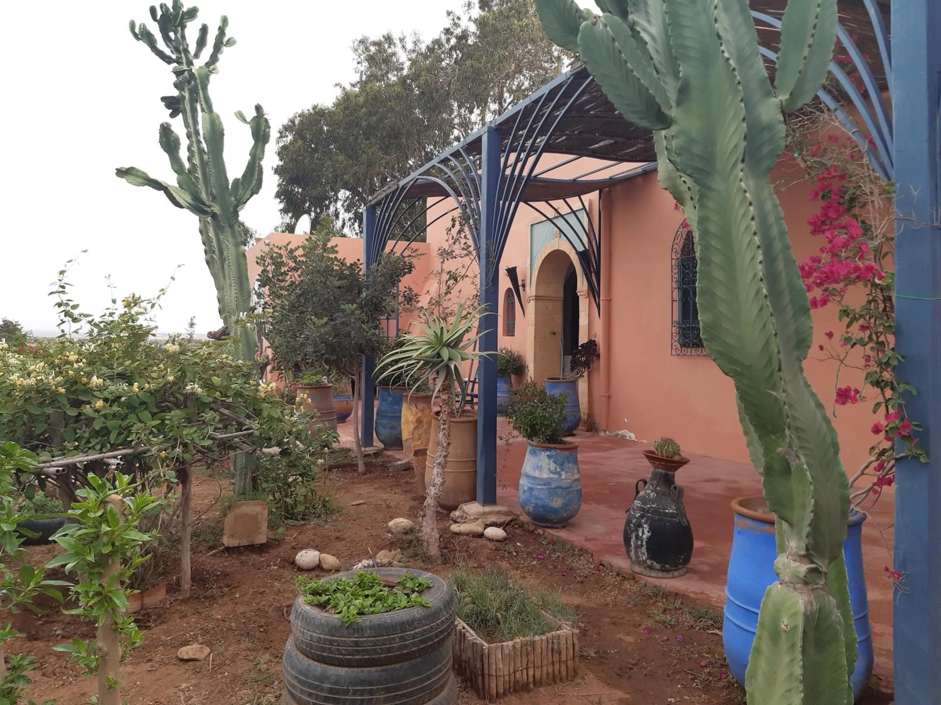 Facade/entrance in Riad Douar Des Oliviers
