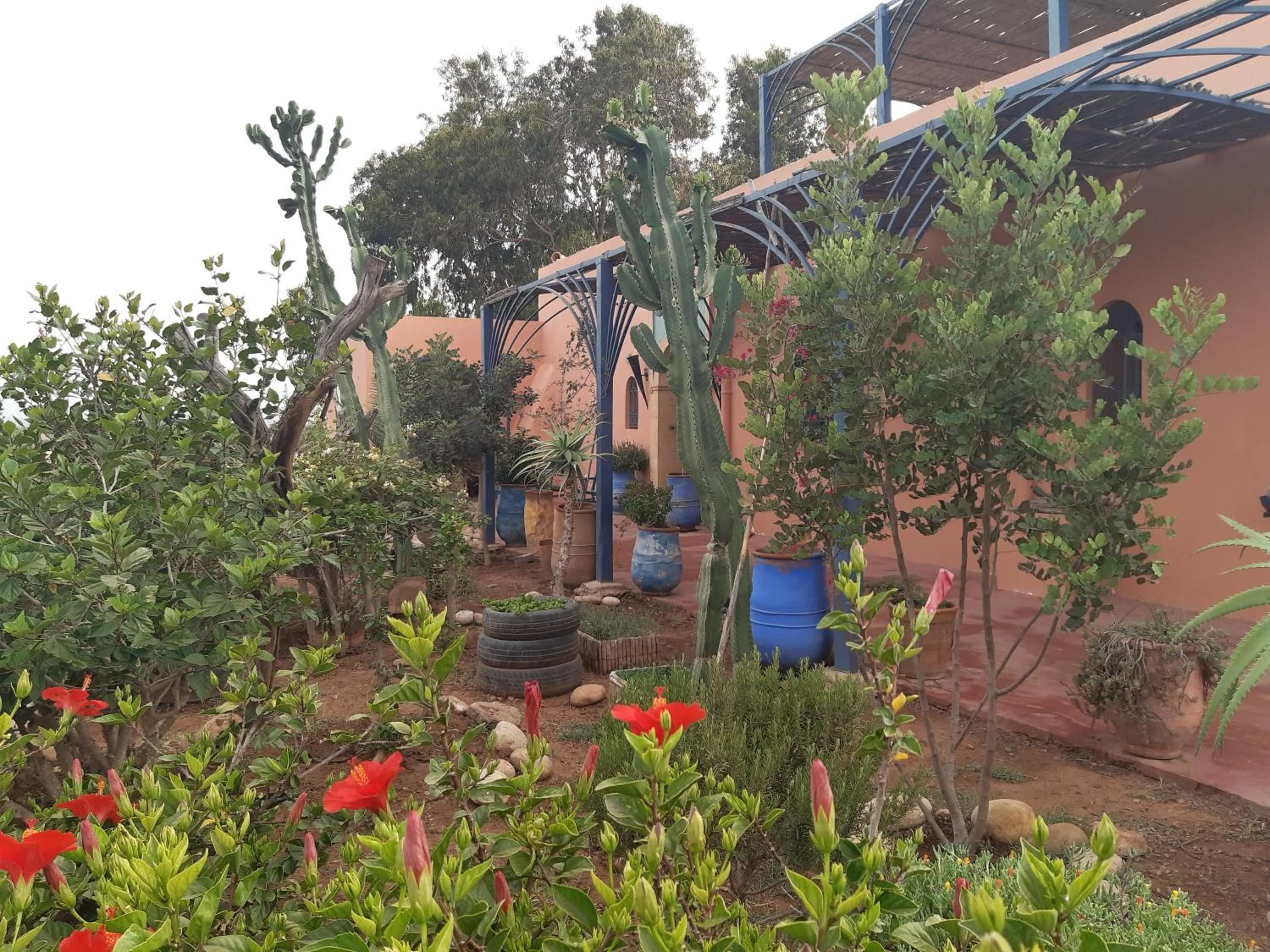 Property building in Riad Douar Des Oliviers