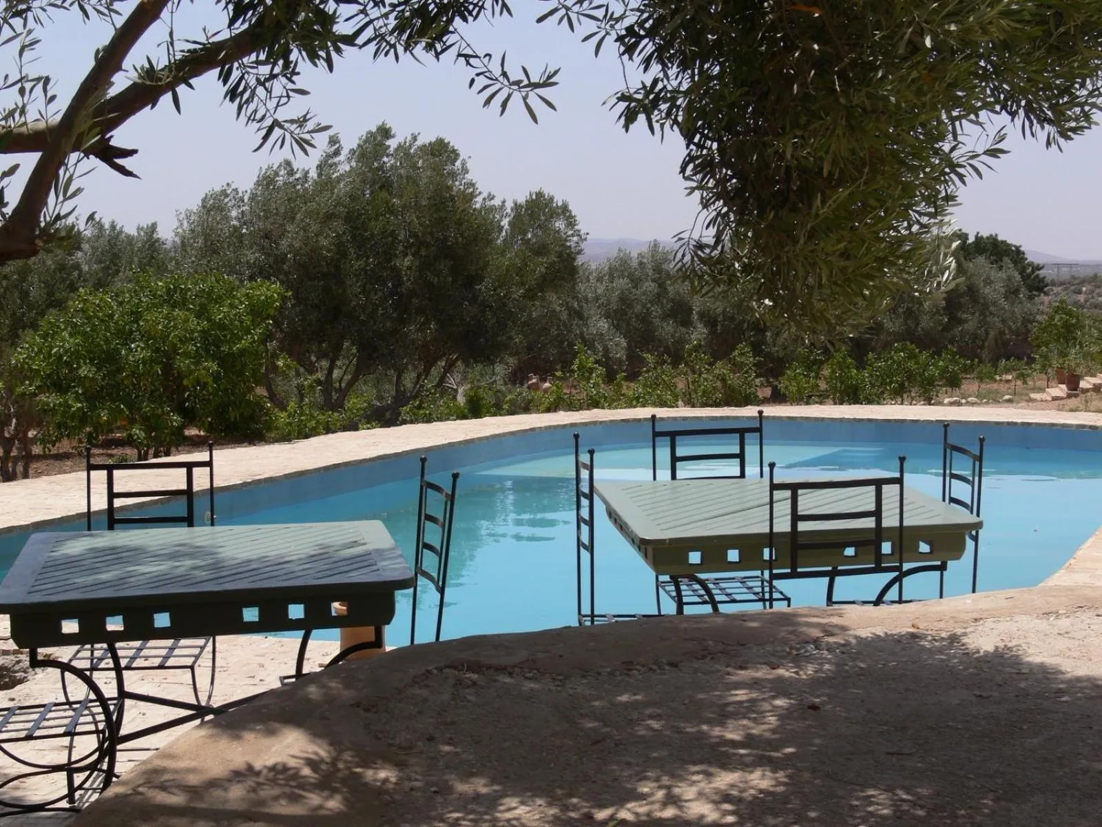 Pool view in Riad Douar Des Oliviers