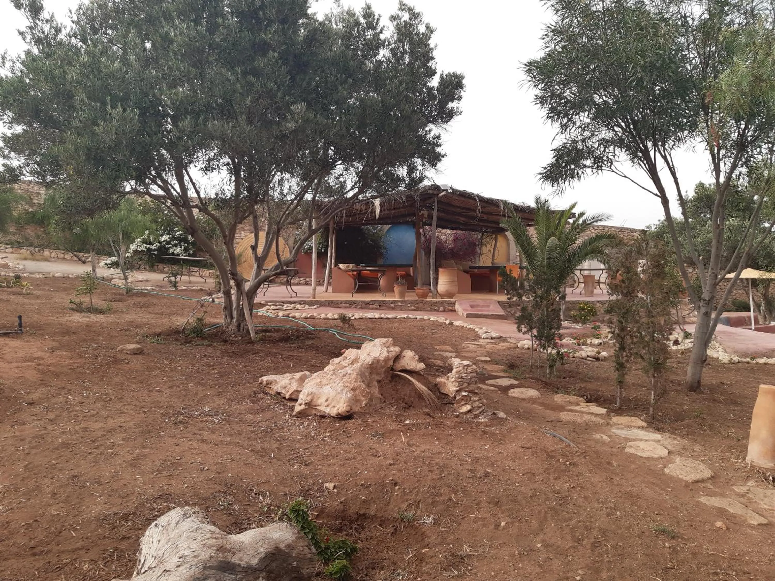 Riad Douar Des Oliviers