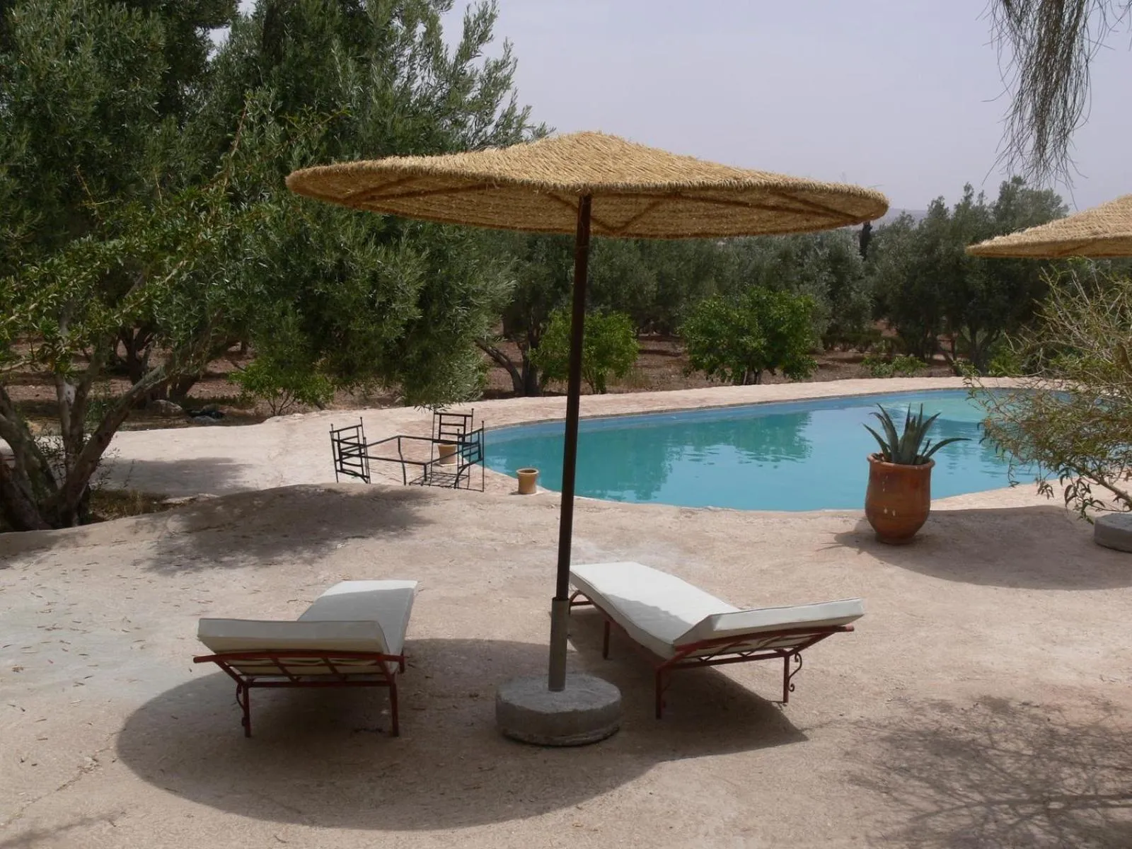 Swimming pool in Riad Douar Des Oliviers