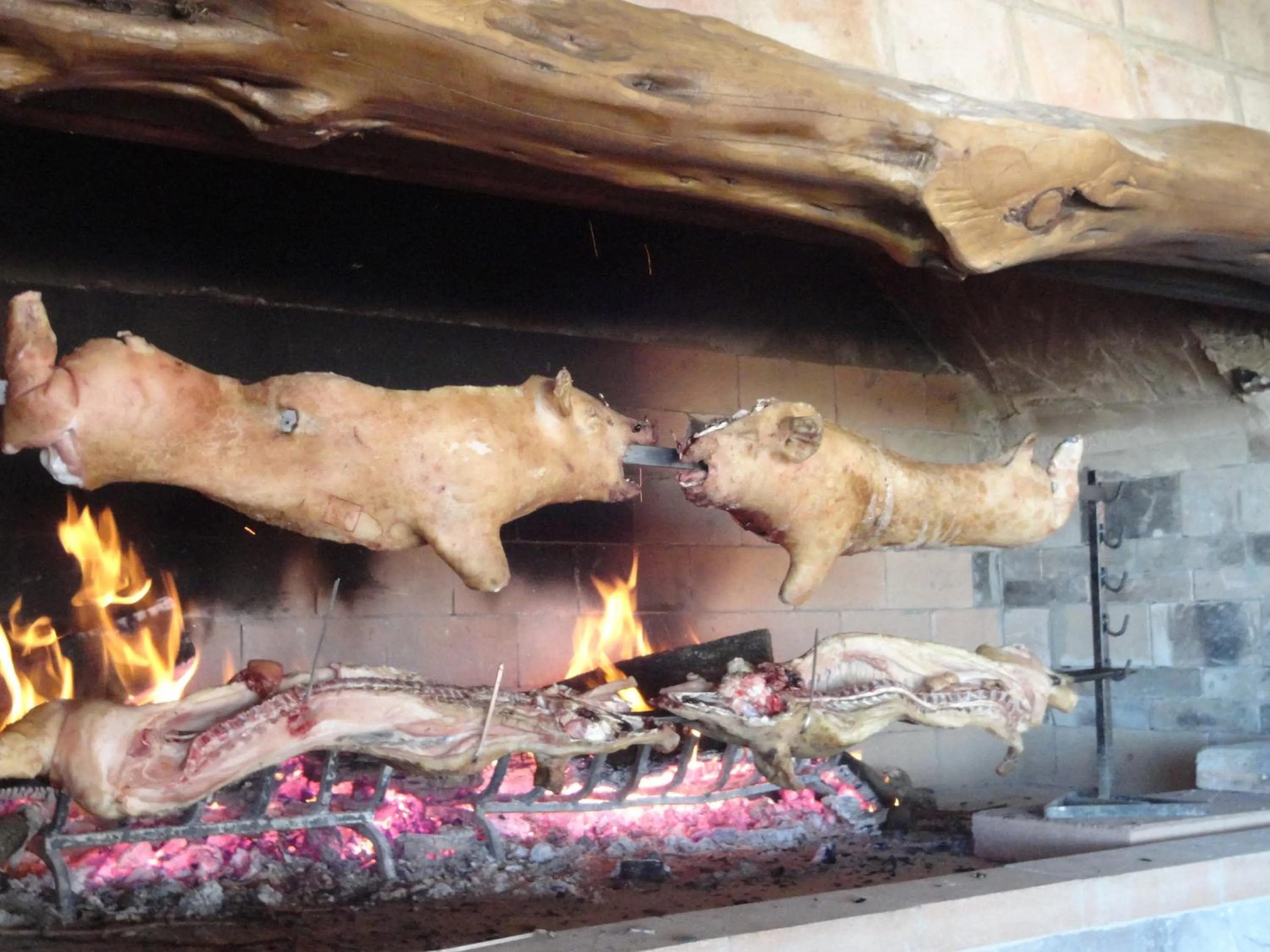 Restaurant/places to eat in Albergo Hotel Villaggio Ristorante Tanit