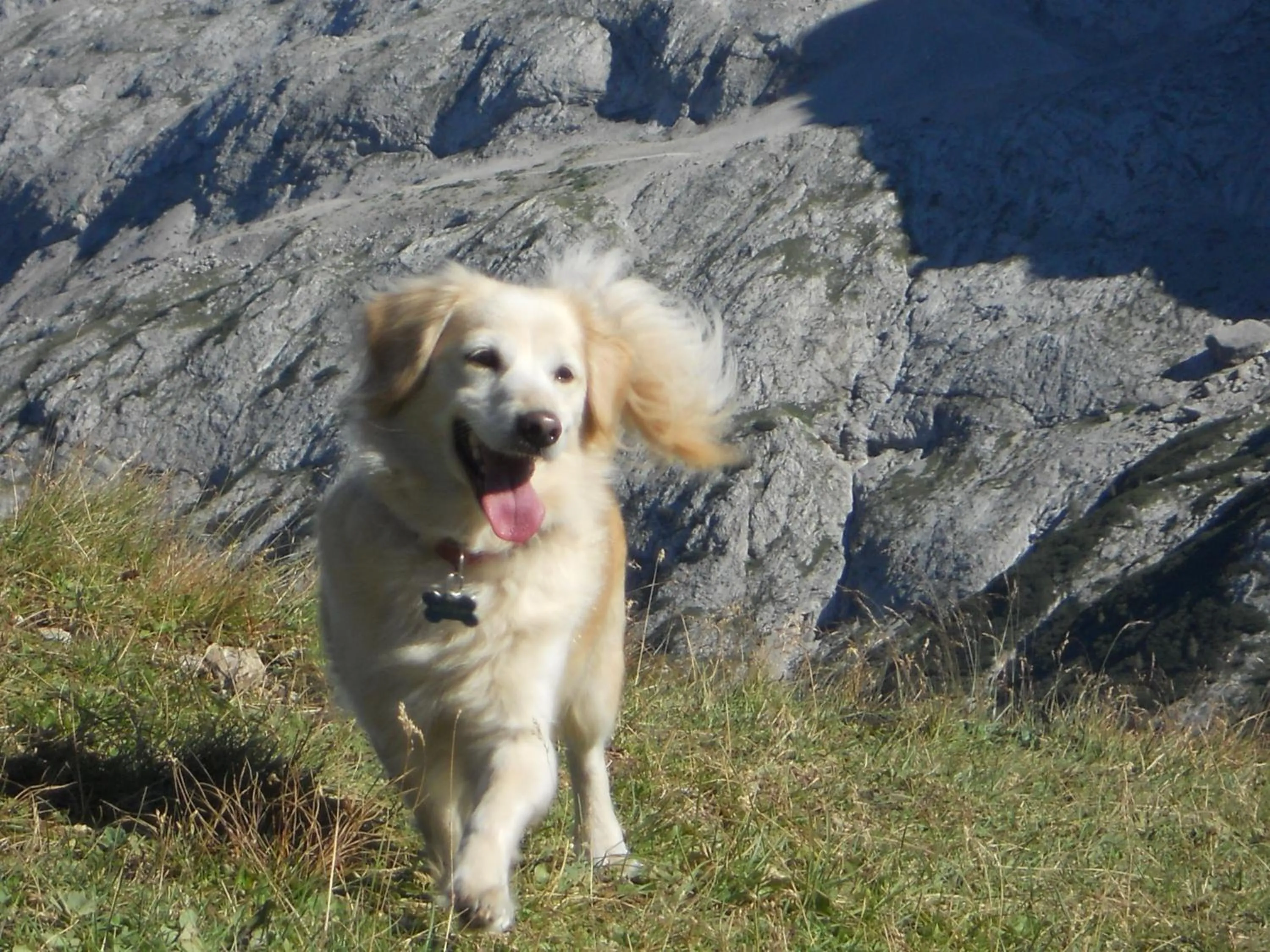 Day in Hotel Garnì Il Cirmolo