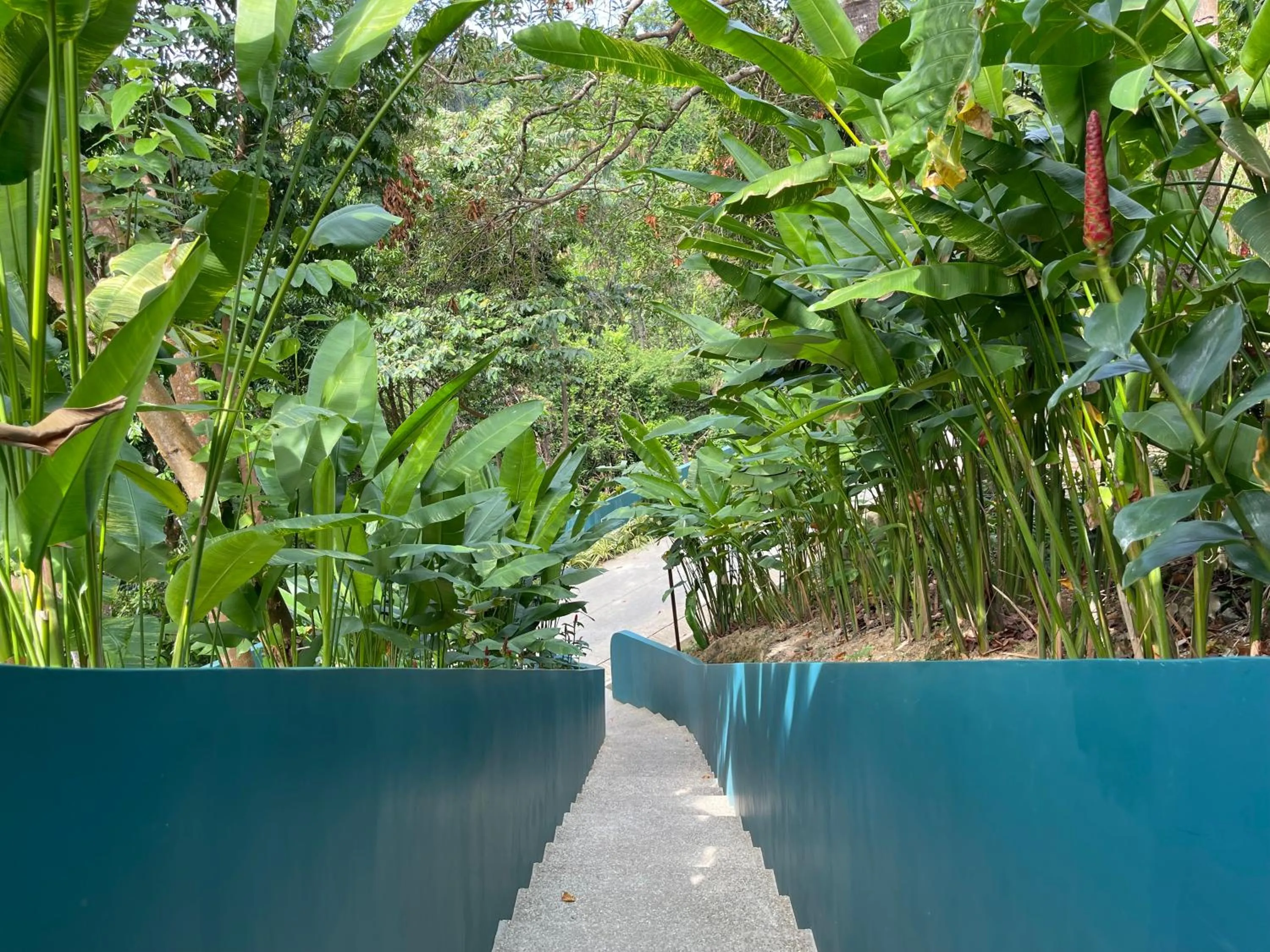 Natural landscape in Karuna El Nido Villas