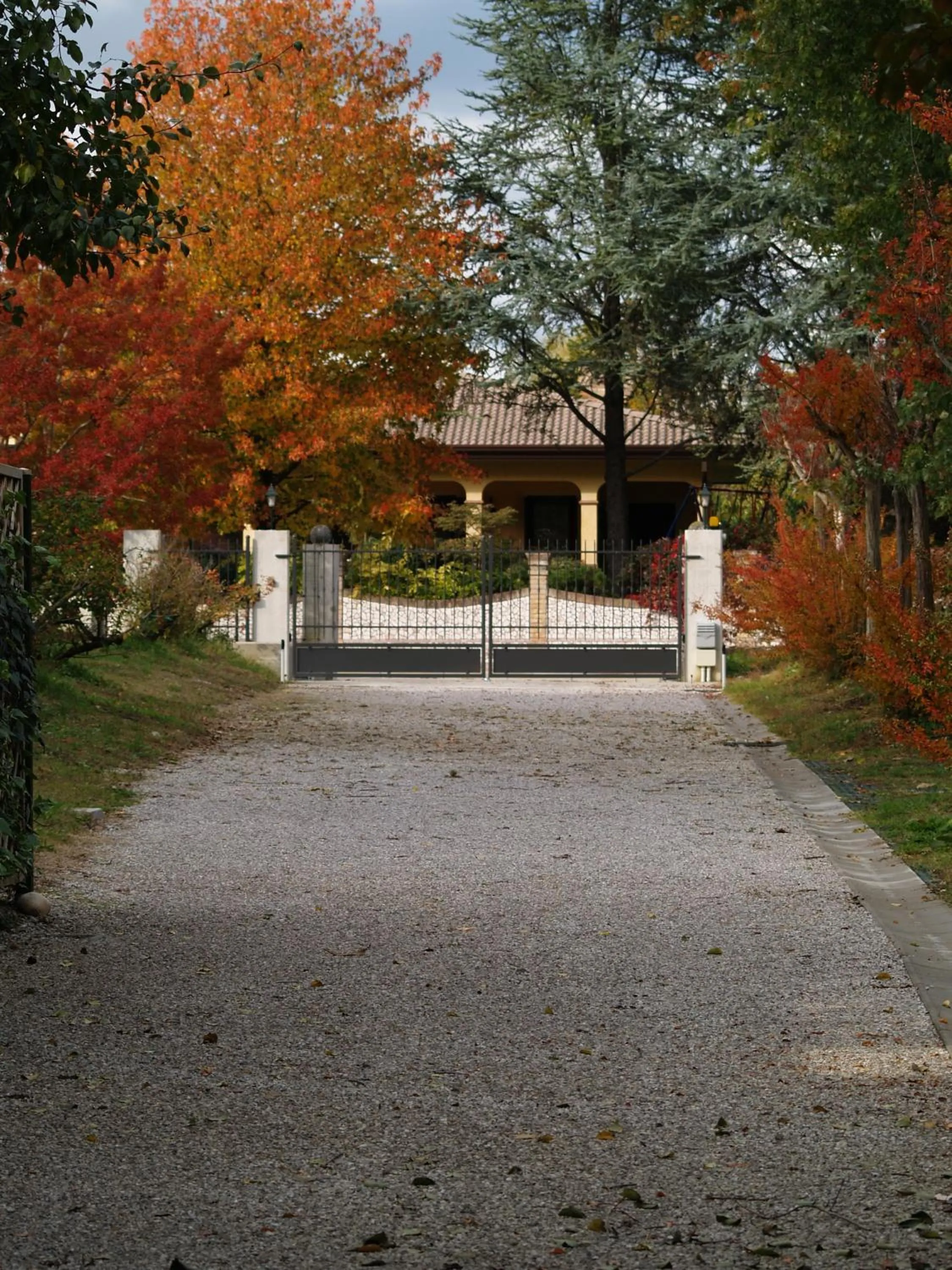 Garden in Ca' Marsure B&B