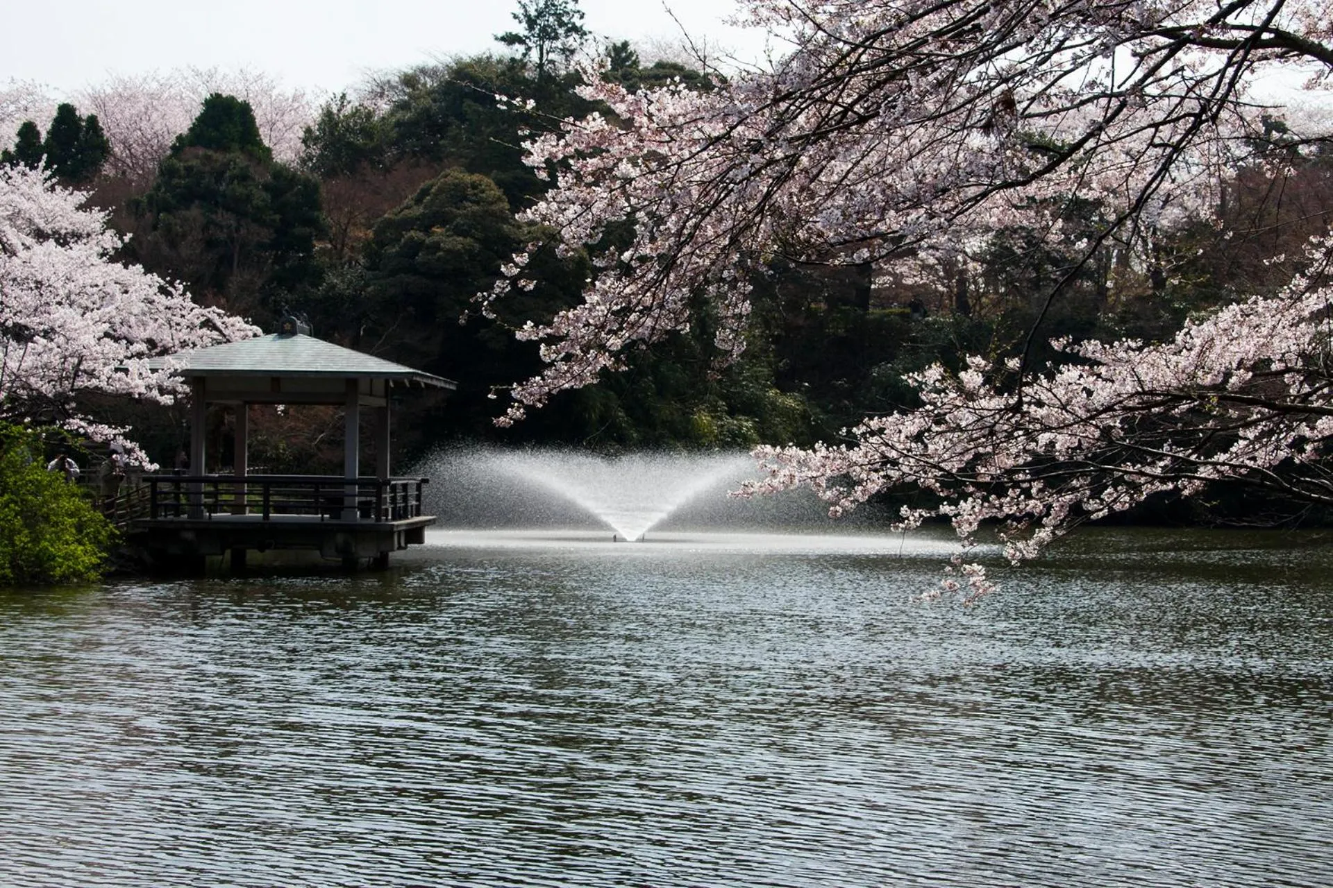 Nearby landmark in Maidohaya Fukutatei