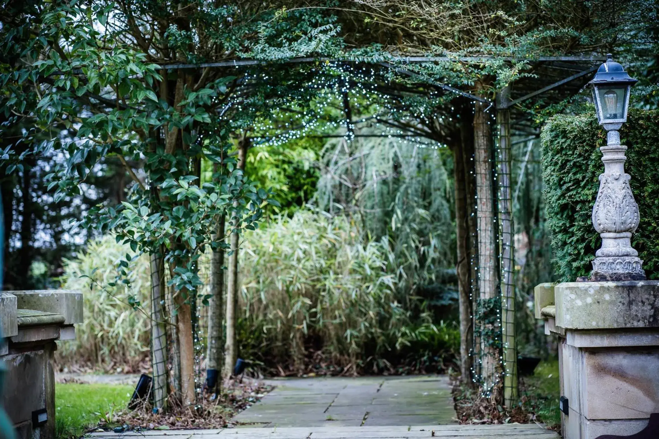 Garden view, Garden in Brook Hall Hotel