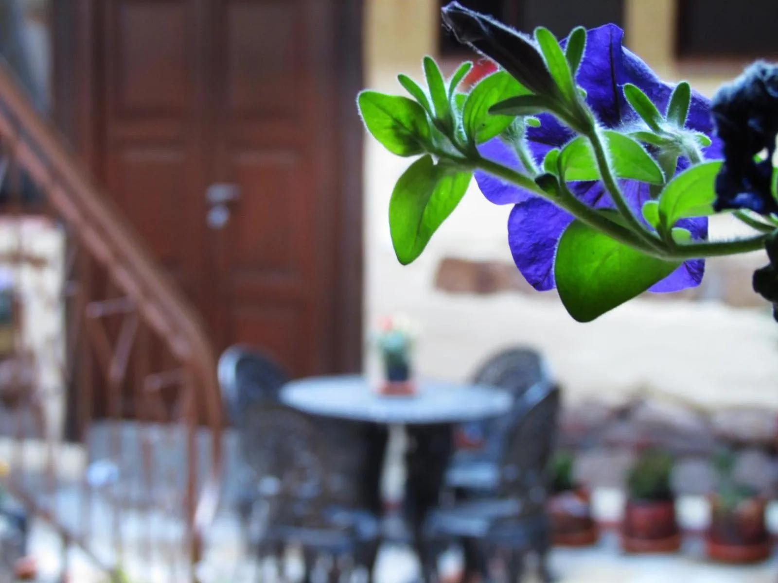 Patio in Hotel Muisca
