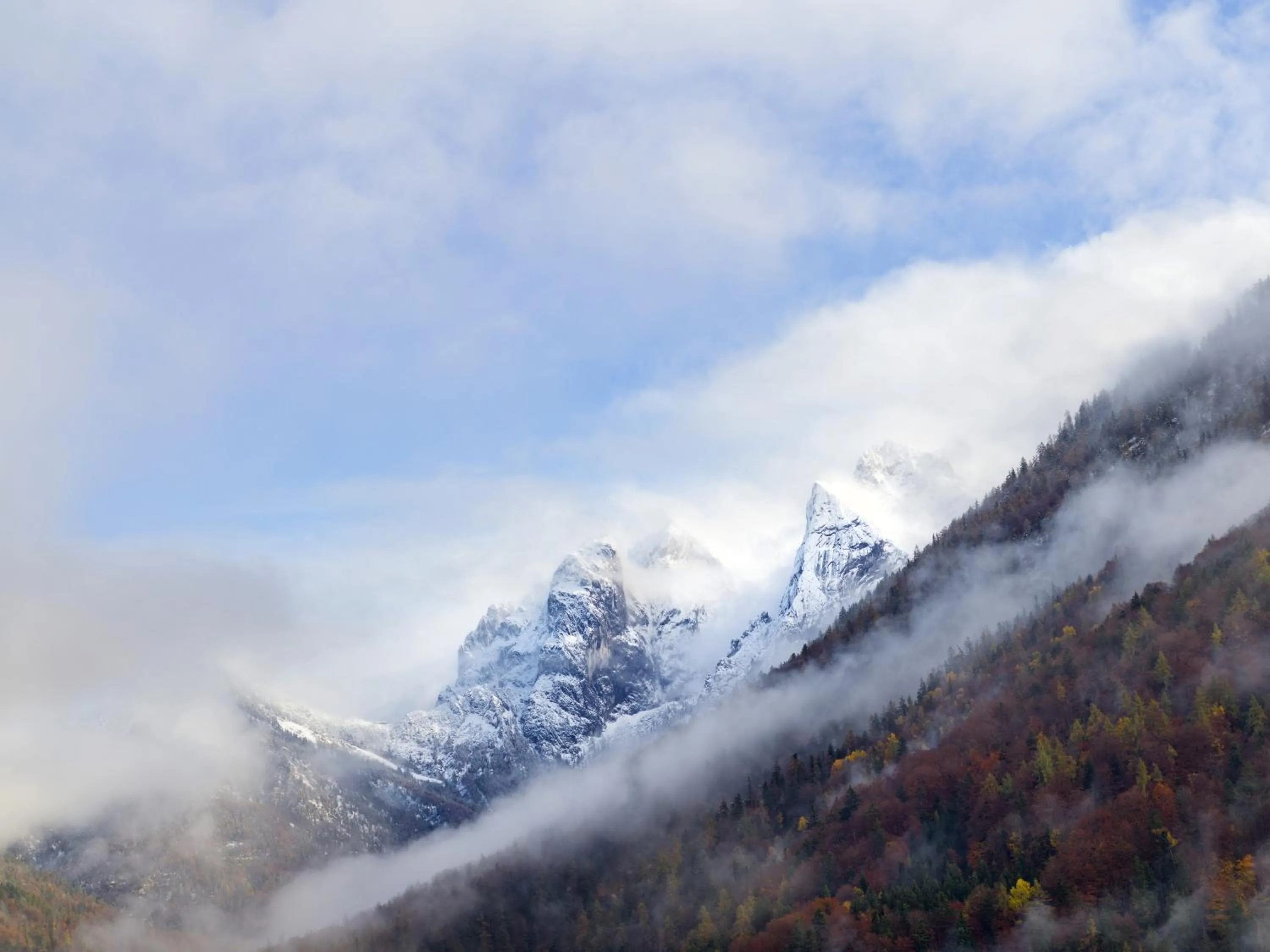 View (from property/room) in Berg'k'hof Kaisertal - Alpine Hideaway