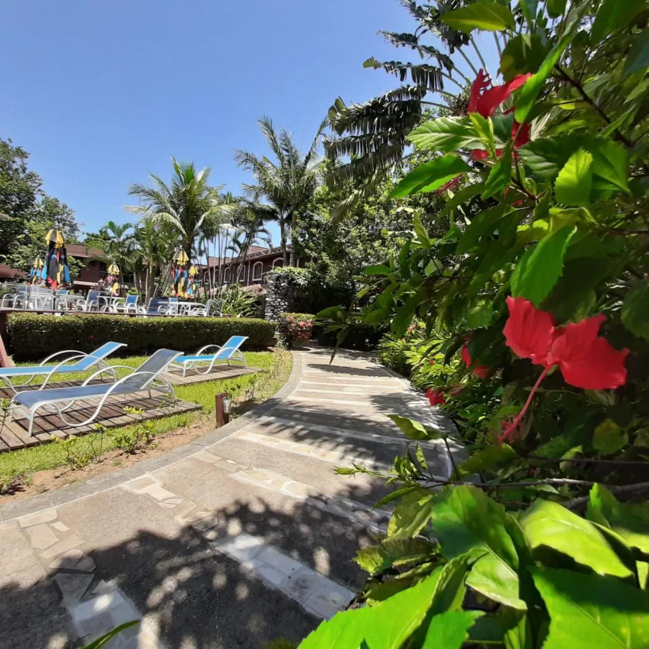 Garden in Amoreiras Hotel Pousada