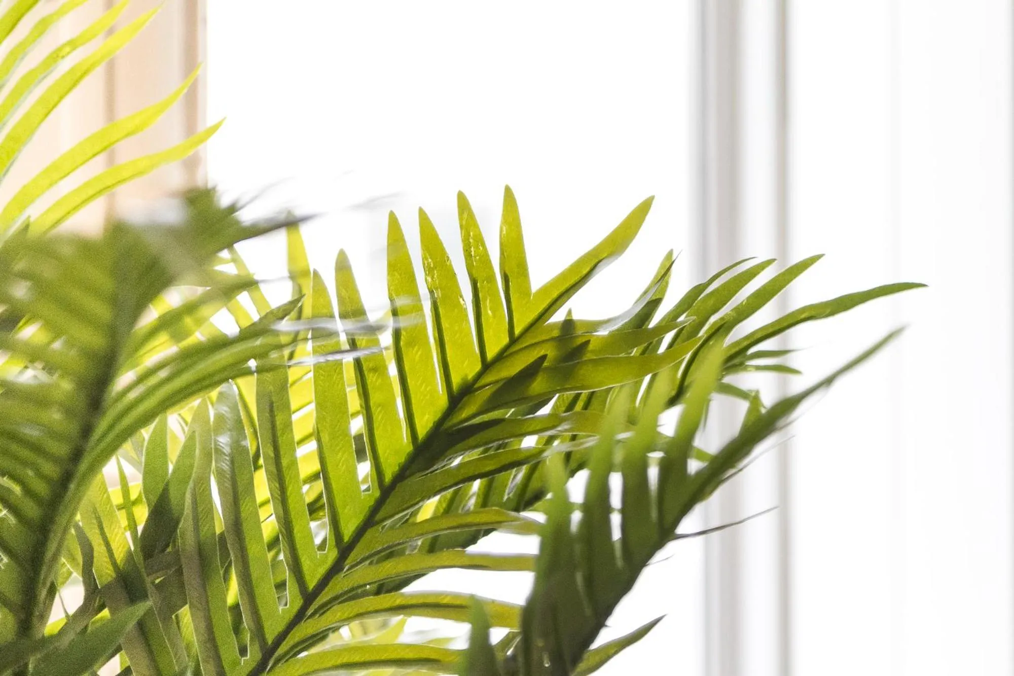 Decorative detail in El Faro de Pepa by Como en Casa