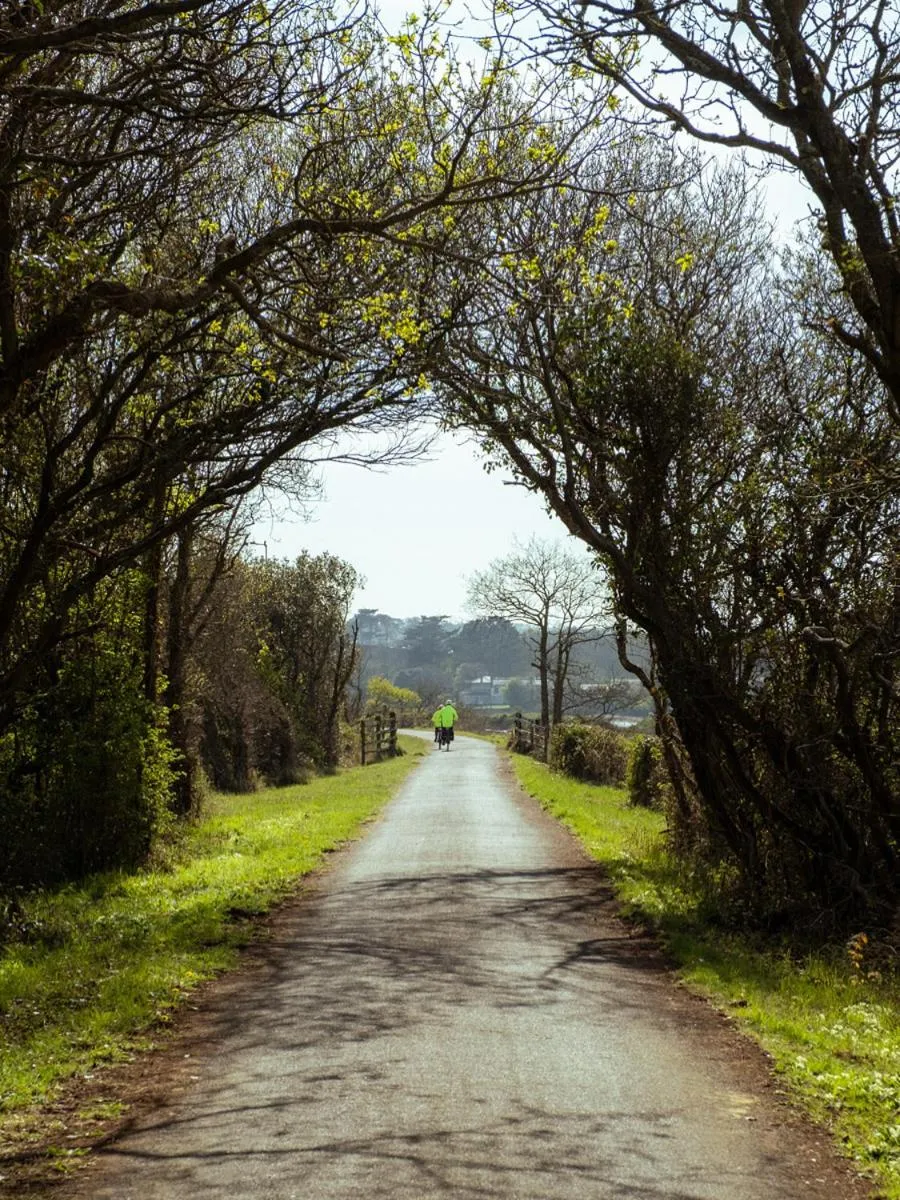 Cycling in The Royal Hotel