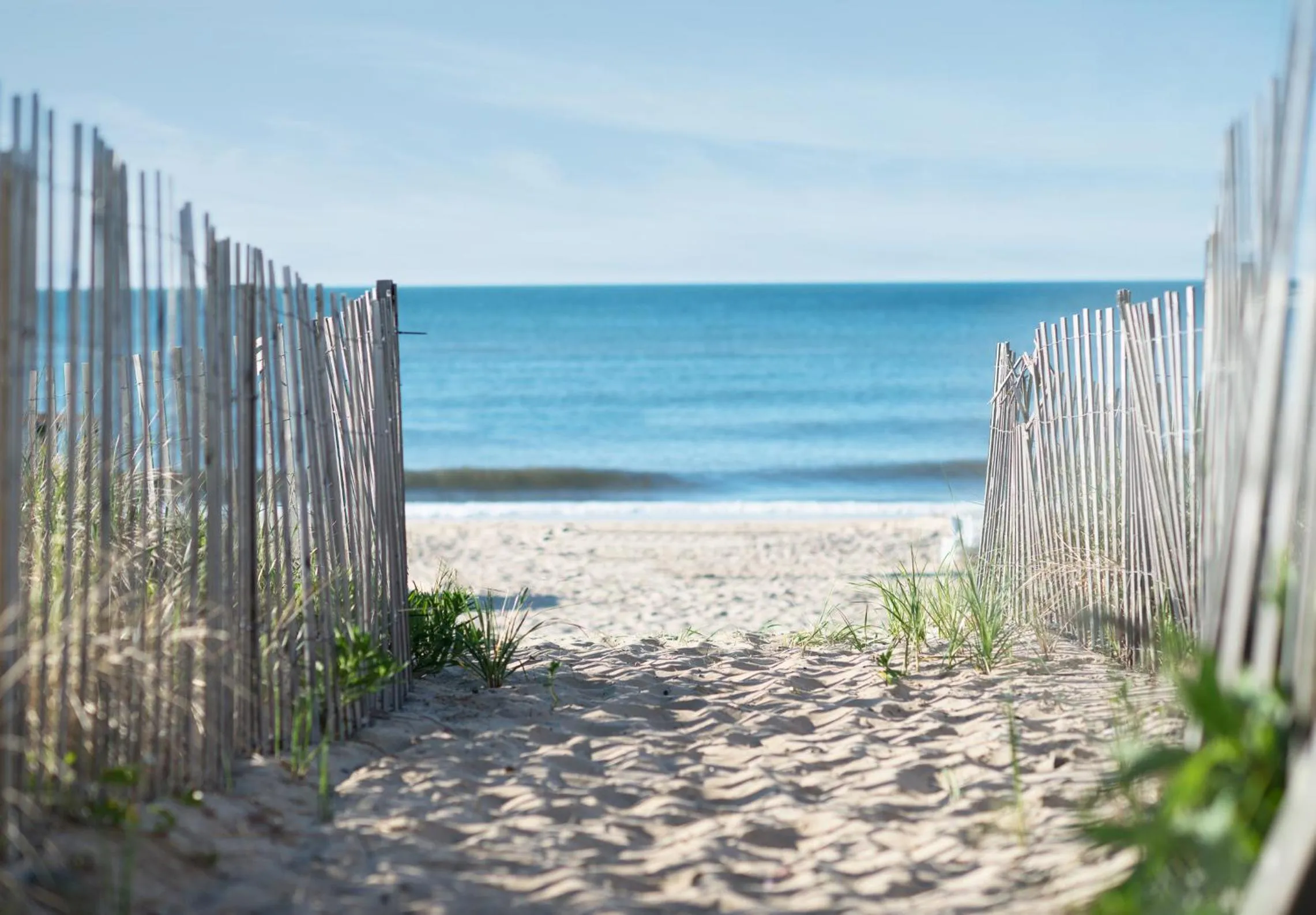 View (from property/room) in Gurney's Montauk Resort & Seawater Spa