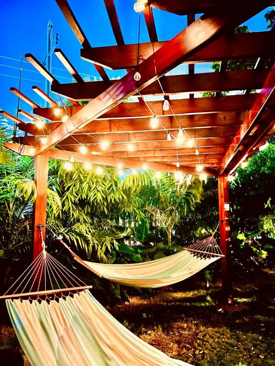 Garden in The Monteray Hotel