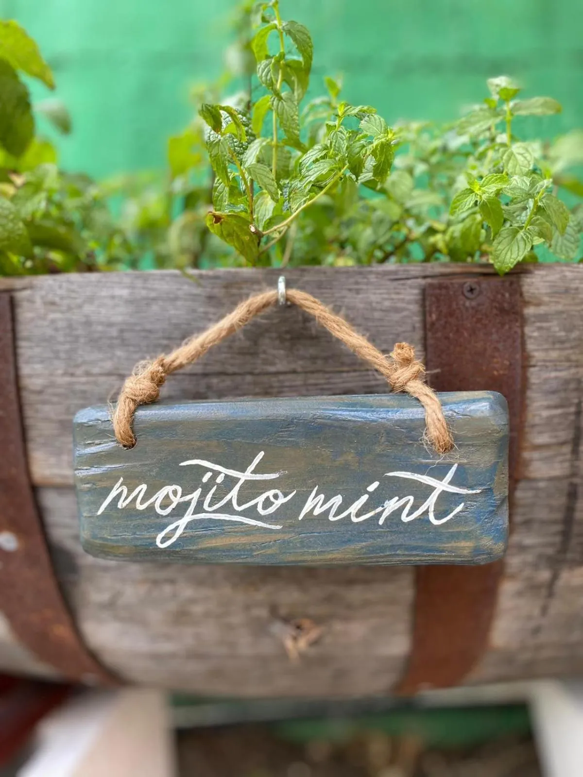 Garden in The Monteray Hotel