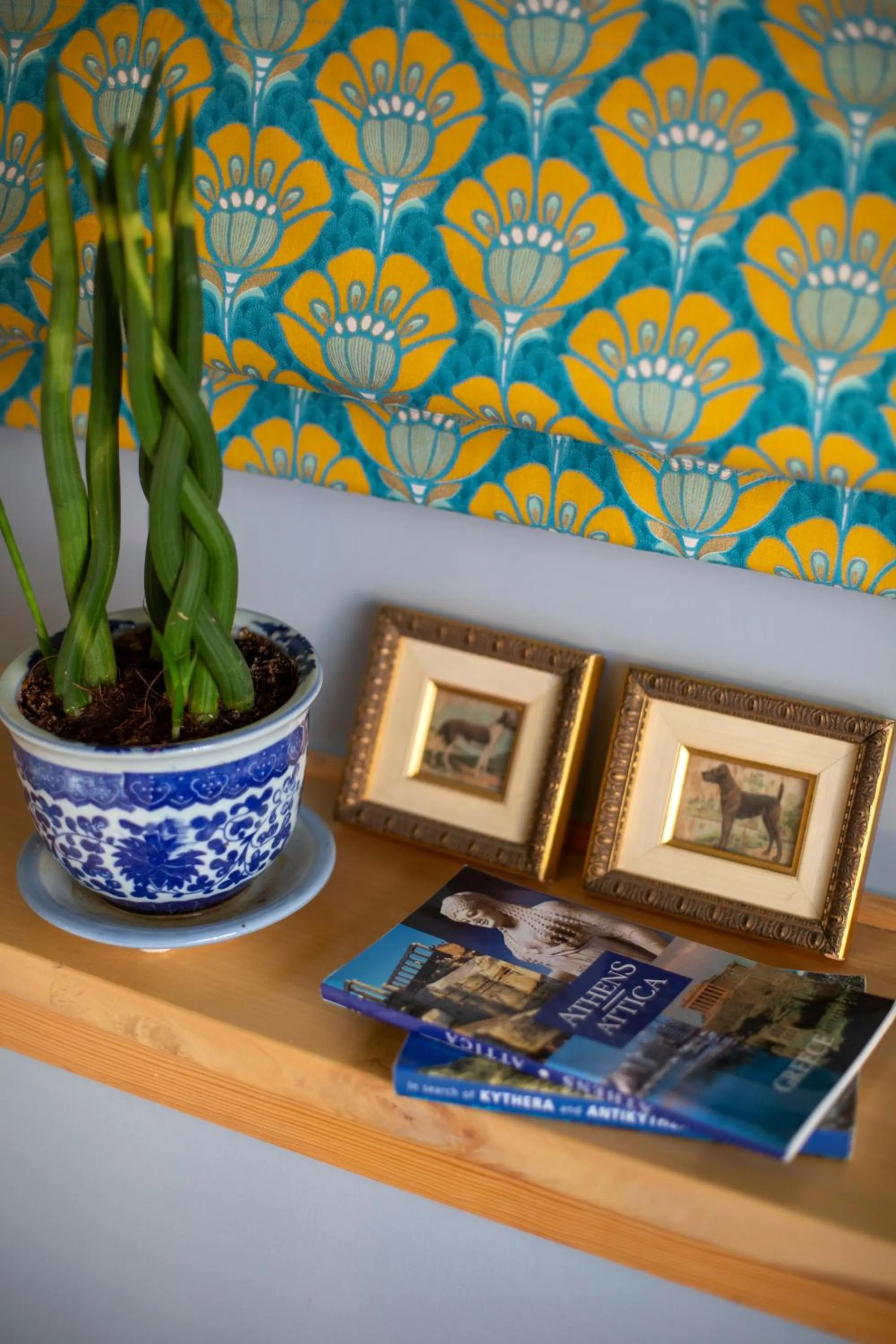 The Frogs_Guest House