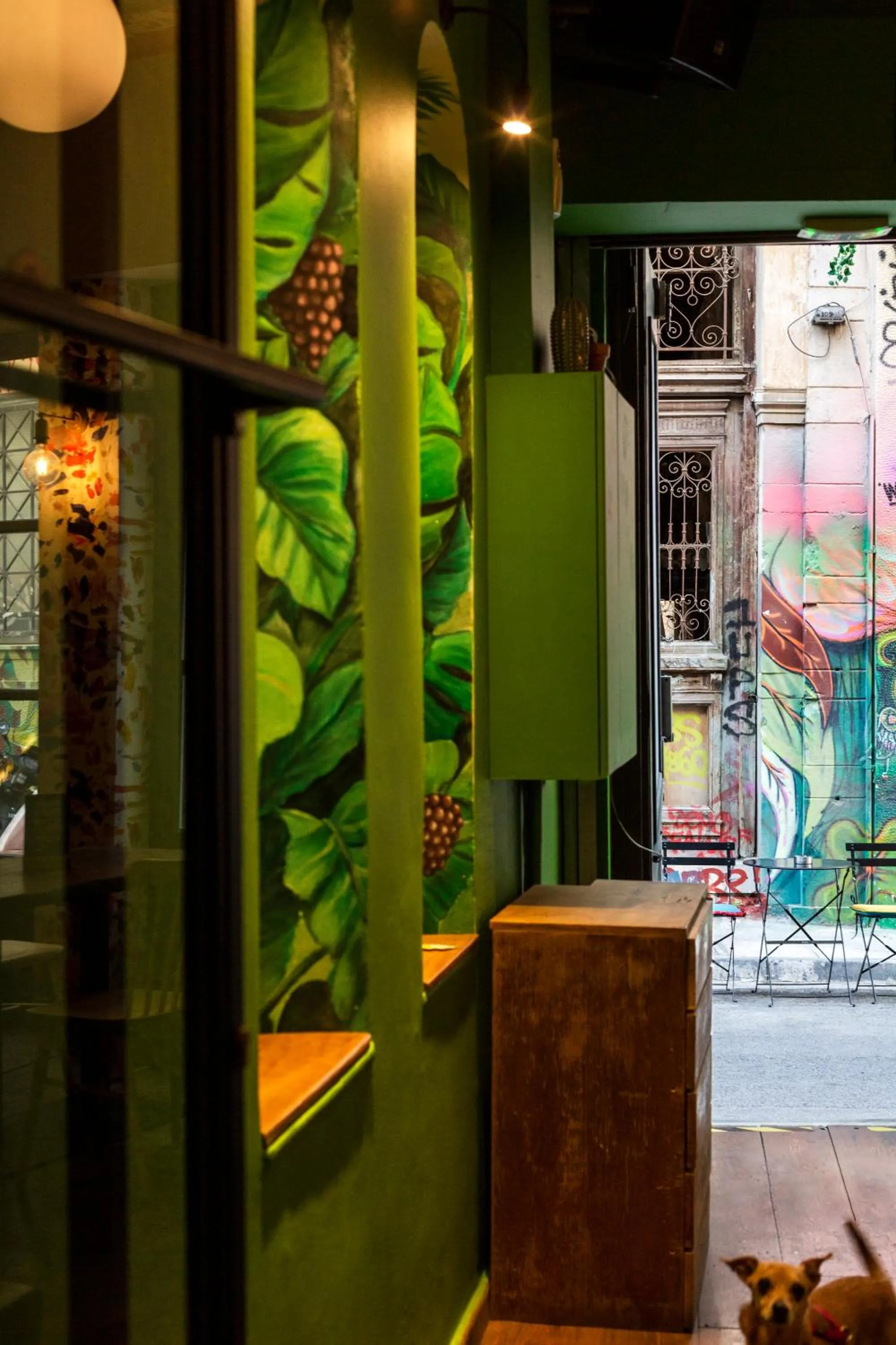 The Frogs_Guest House