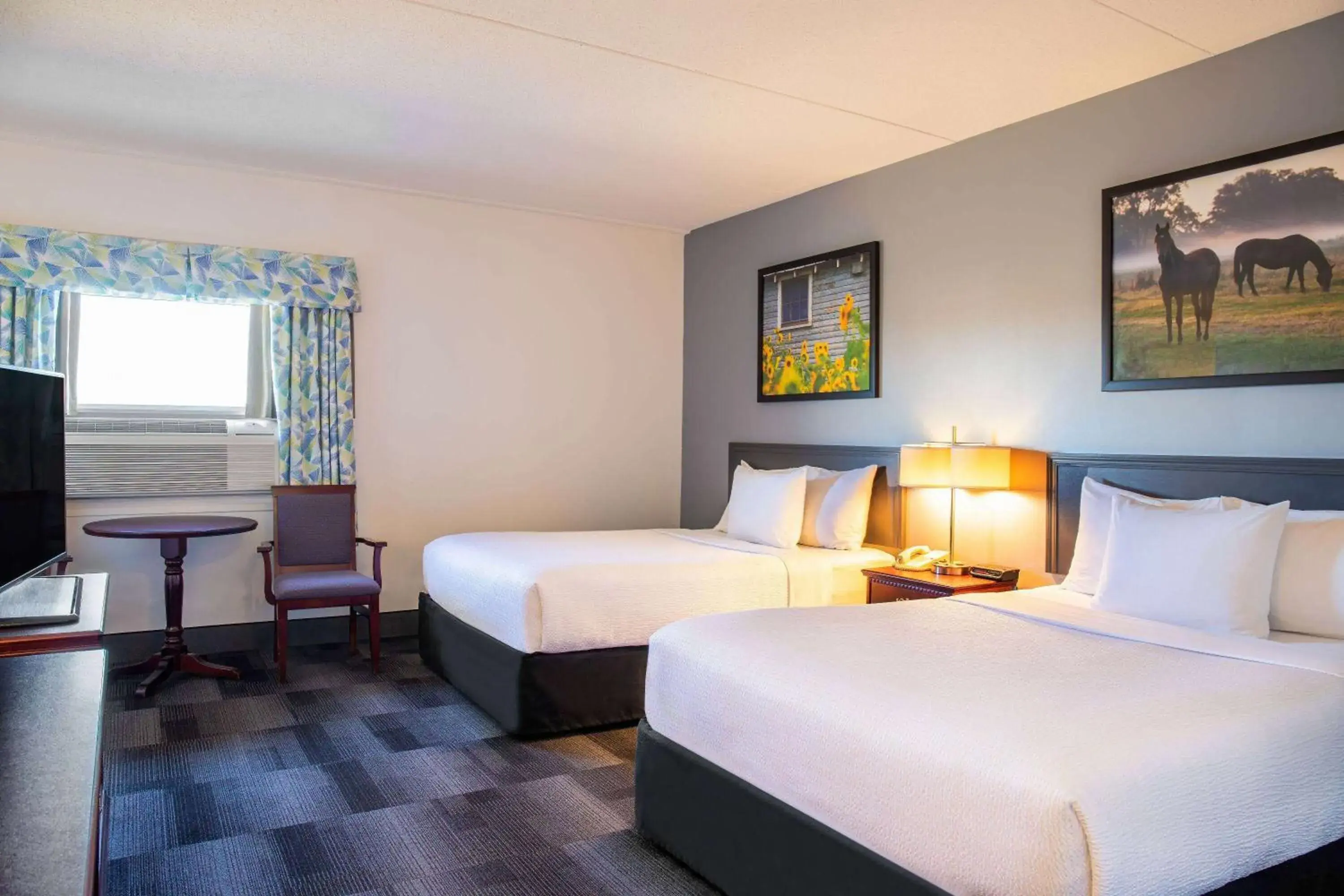 Bed in Days Inn & Conference Centre by Wyndham Camrose Norsemen Bed in Days Inn & Conference Centre by Wyndham Camrose Norsemen