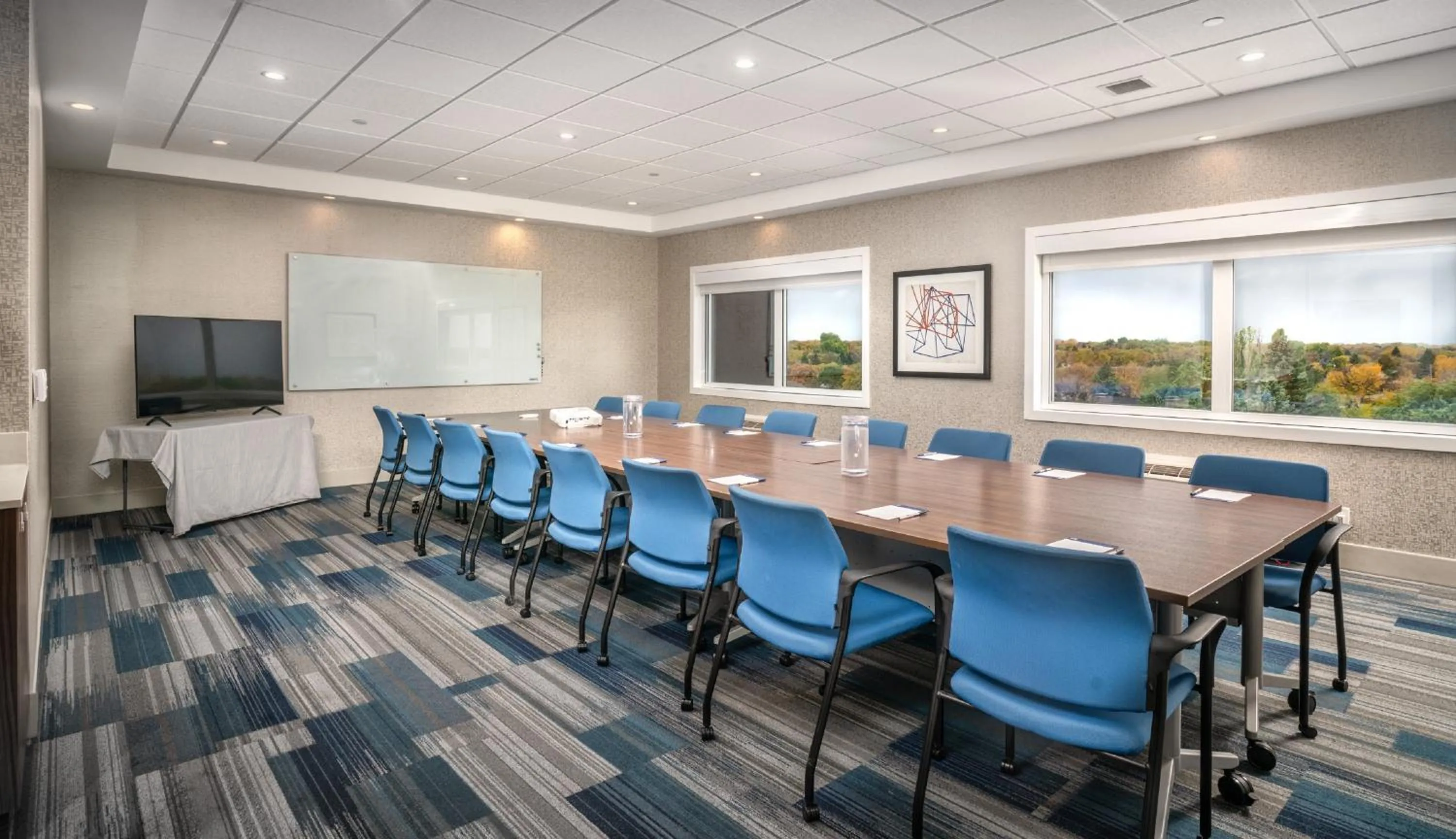 Meeting/conference room in Holiday Inn Express & Suites - Brandon by IHG
