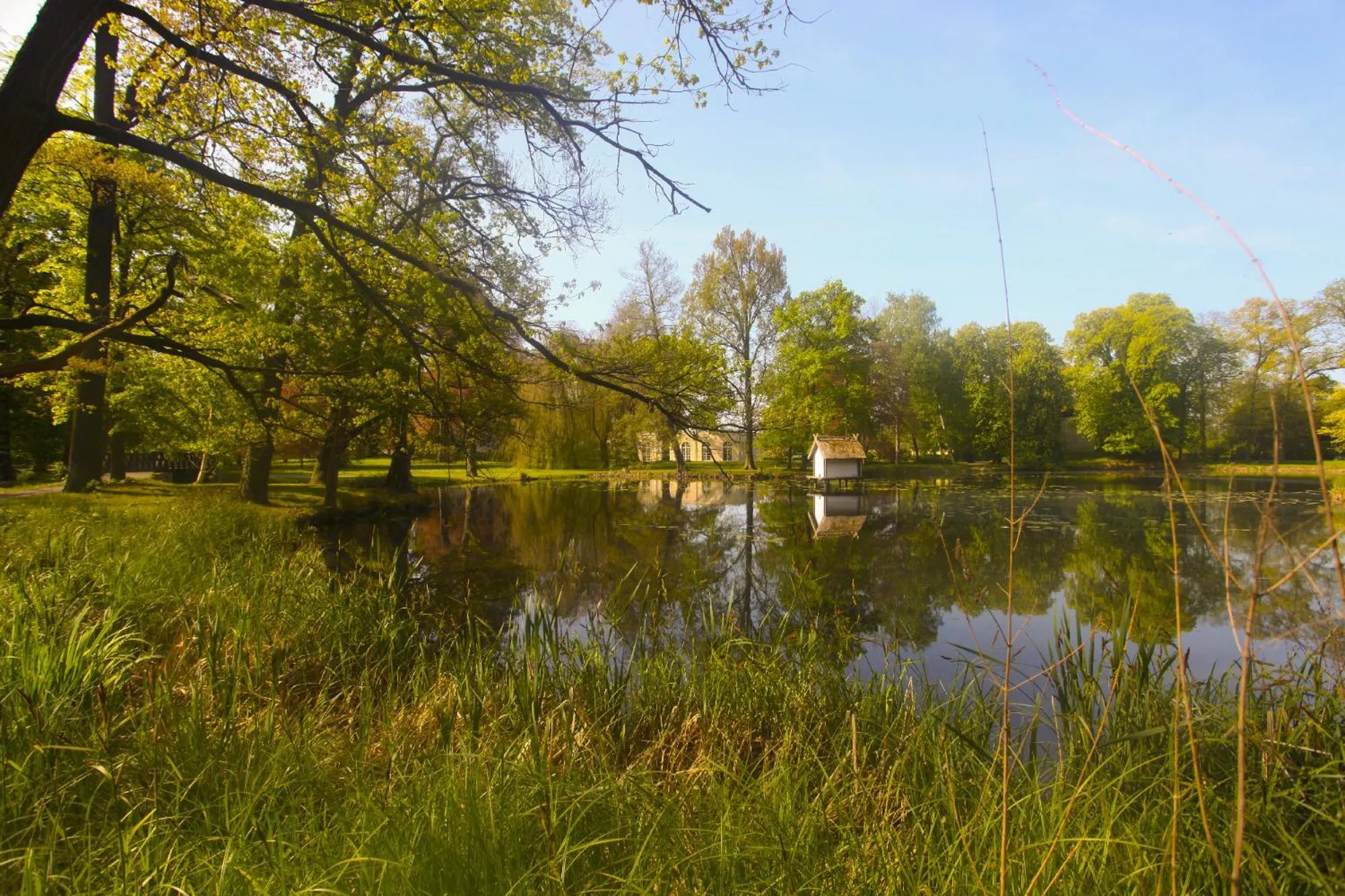 Garden in Urlaubsresidenz Marstall und Kanzlei im Schlossensemble