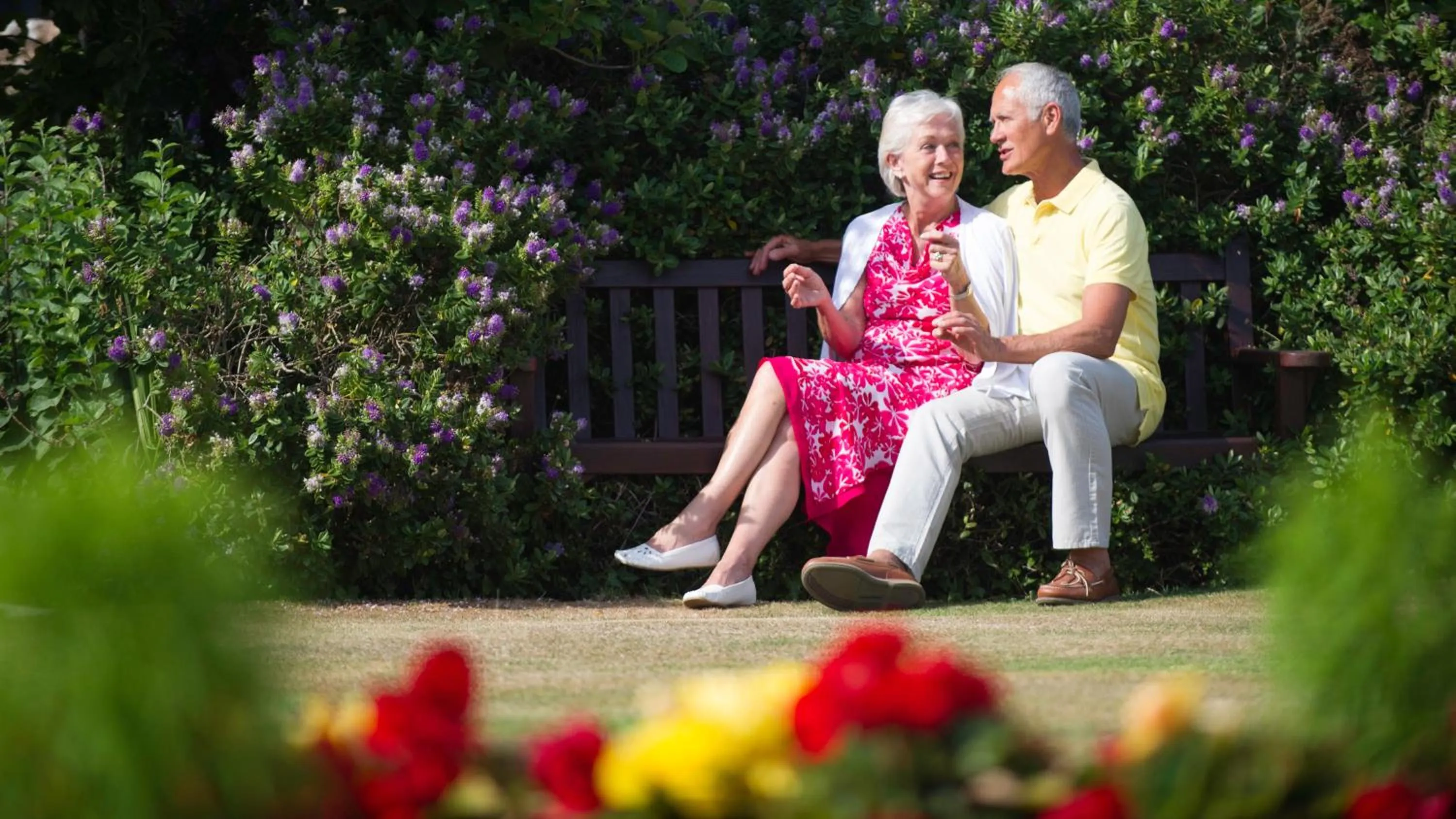 Garden in The Belmont Hotel - Adults Only