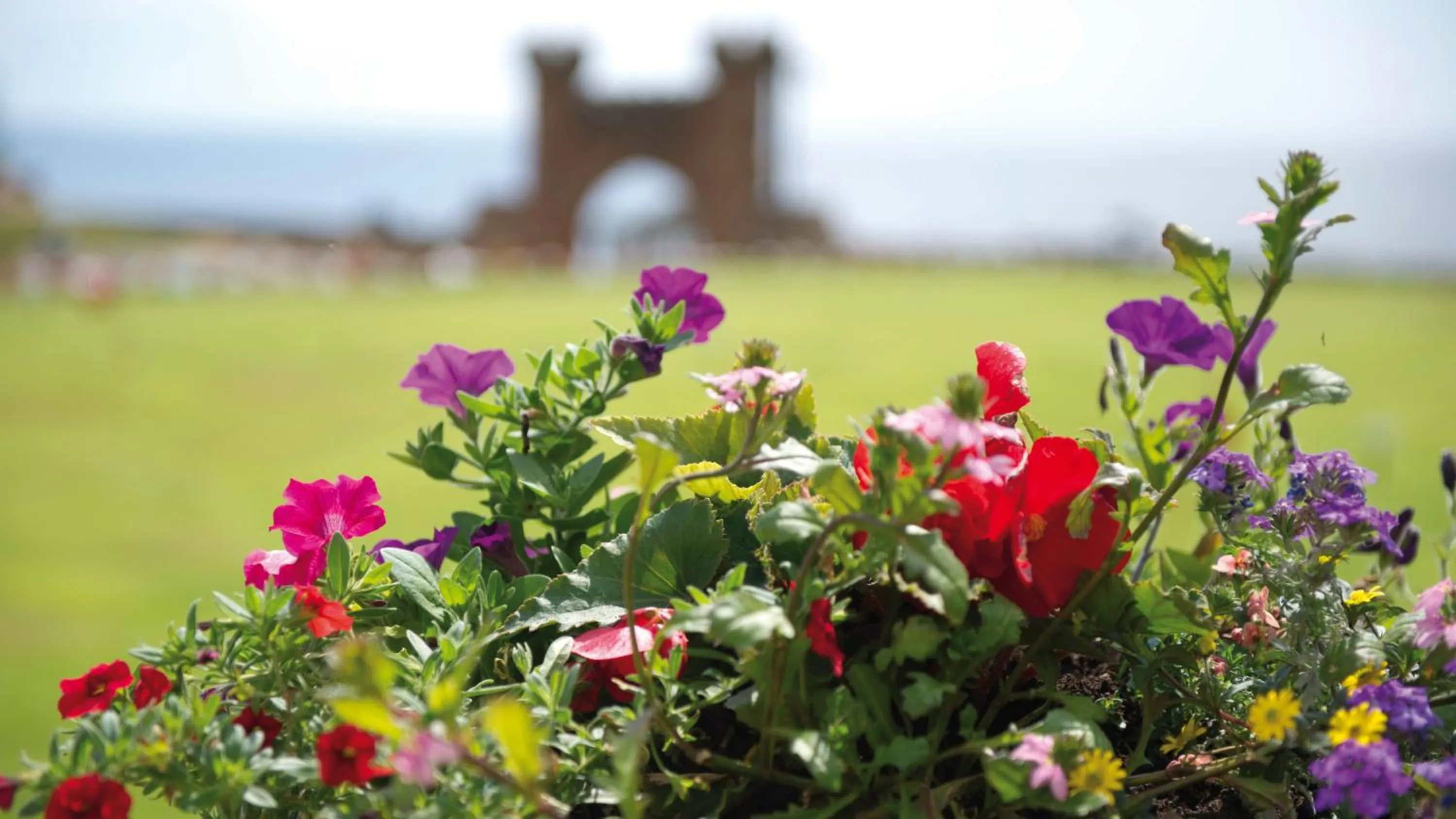 Garden in The Belmont Hotel - Adults Only