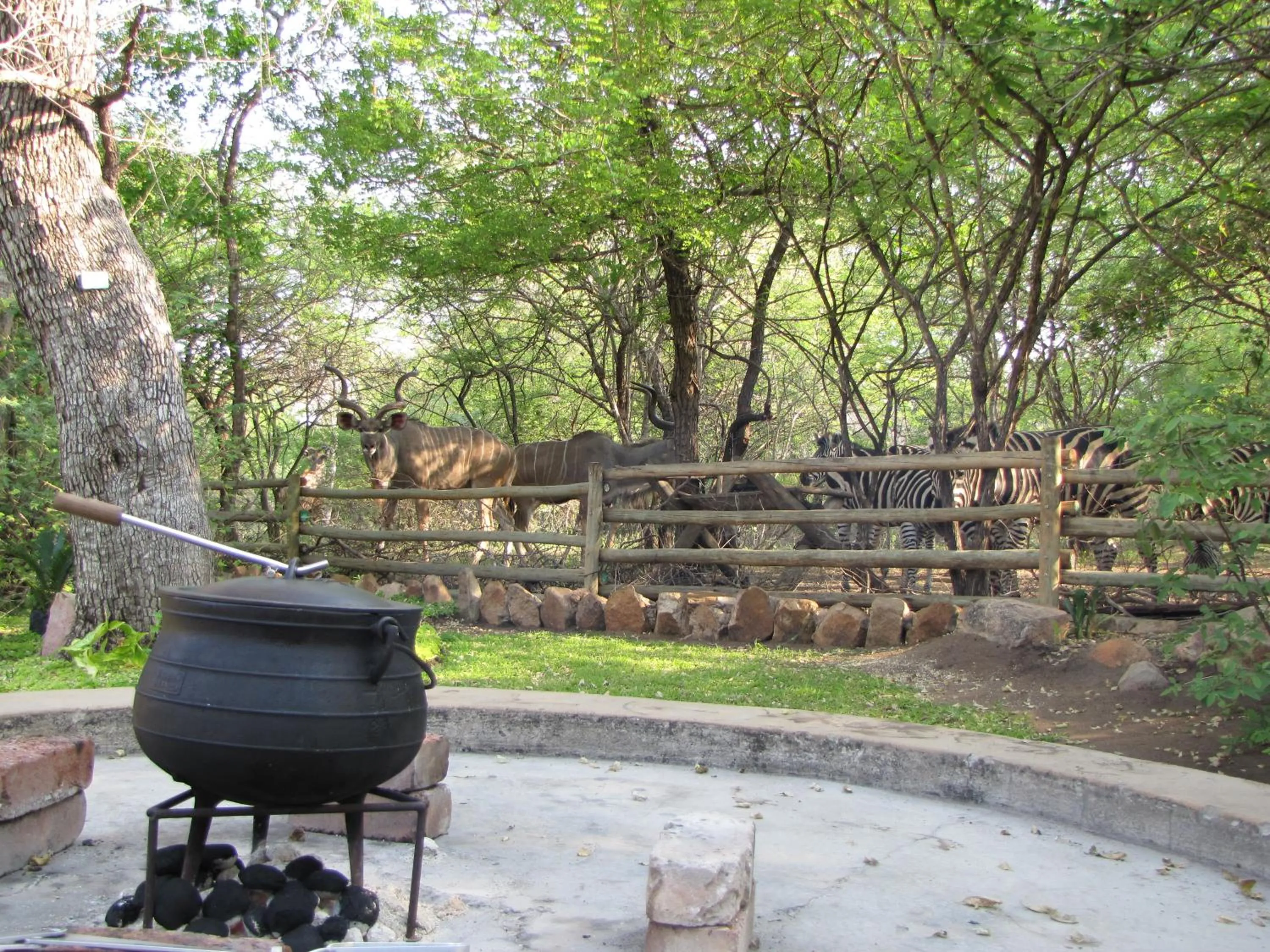 BBQ facilities in SERENITY Du Bois Lodge