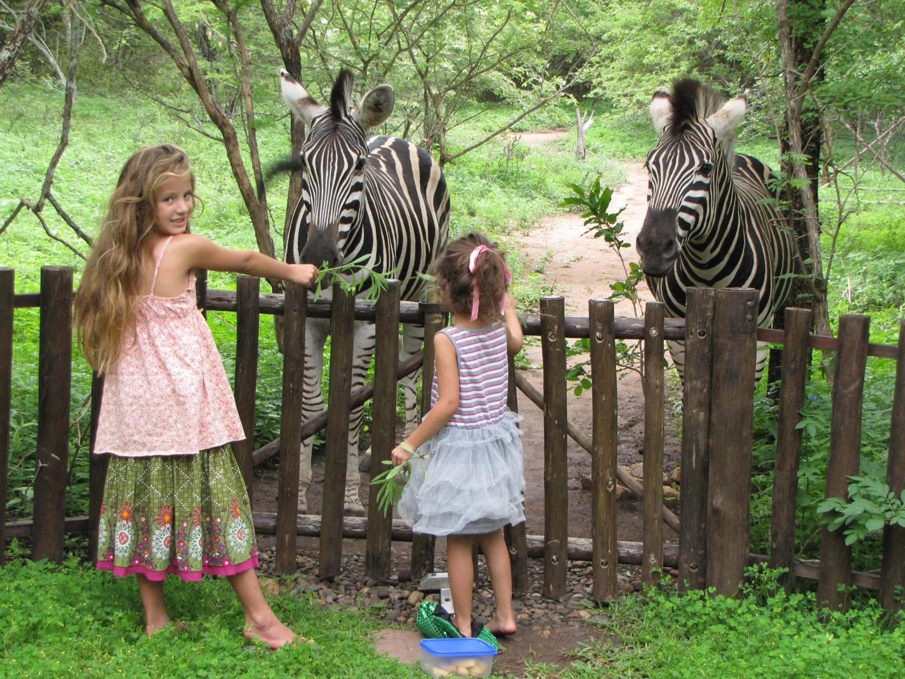 Animals in SERENITY Du Bois Lodge