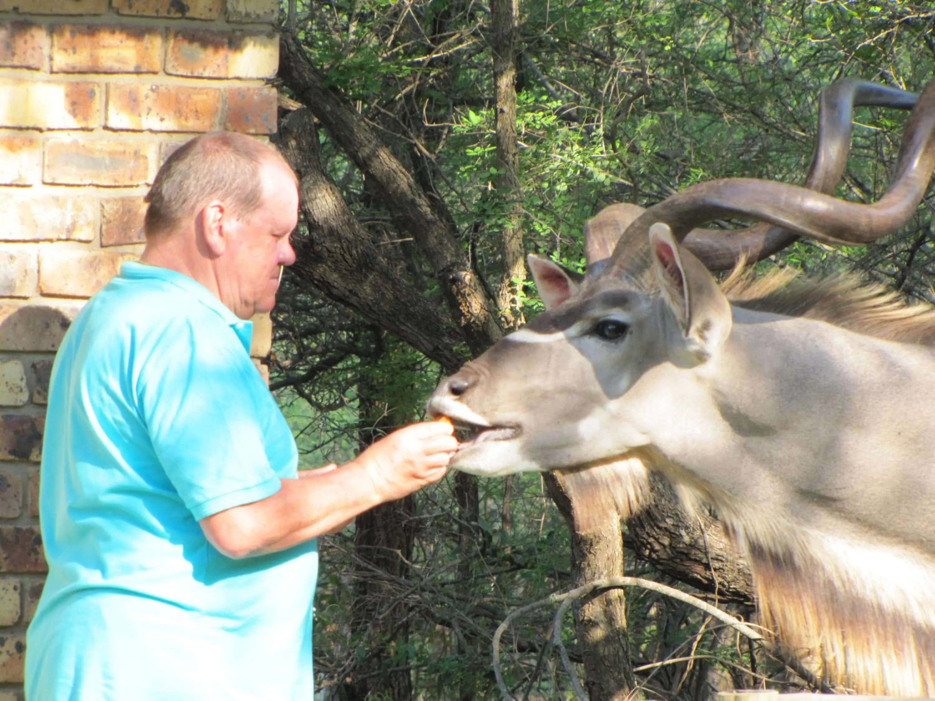 Animals in SERENITY Du Bois Lodge