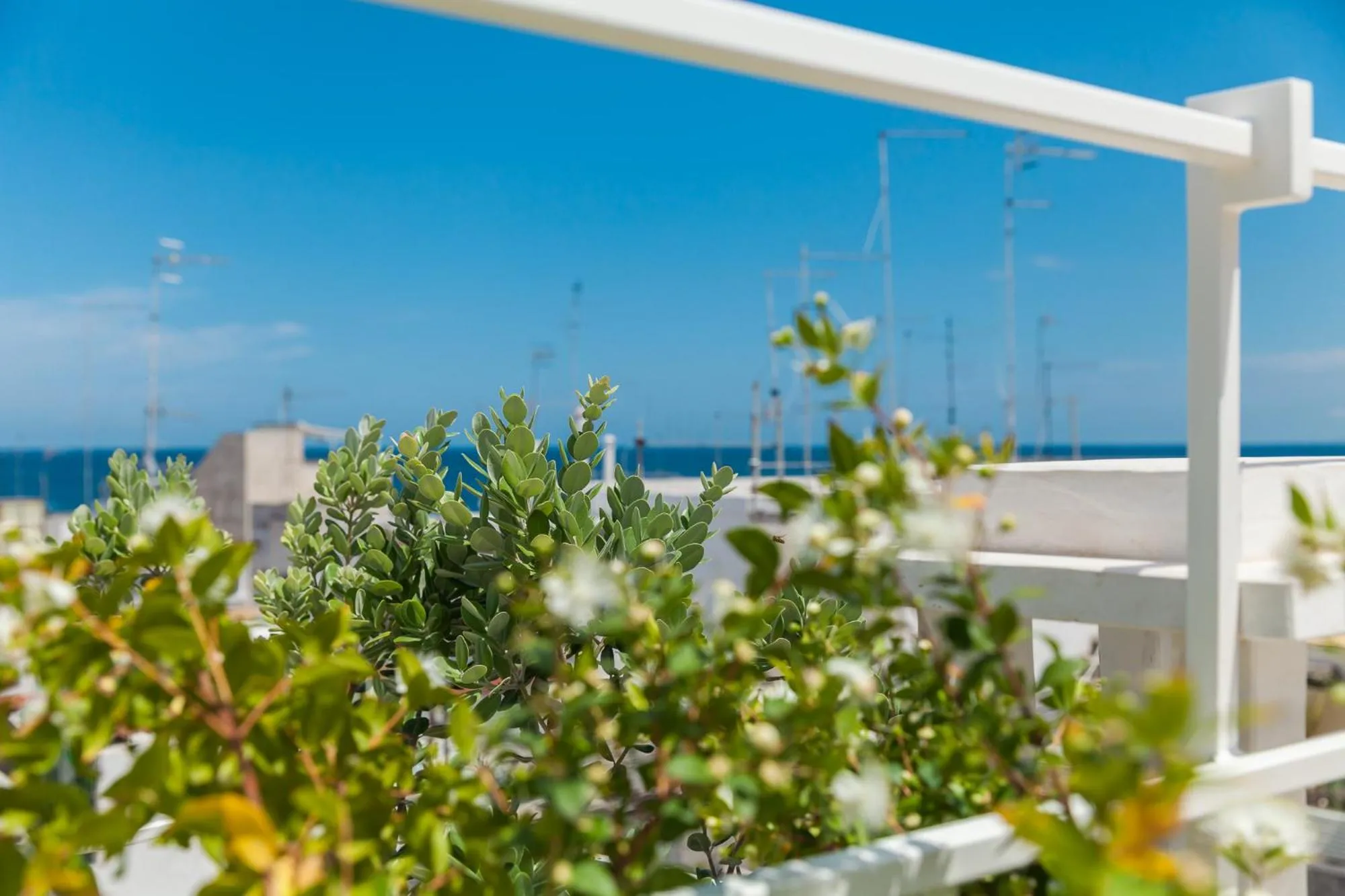 Solarium in Palazzo Fiscaiolo