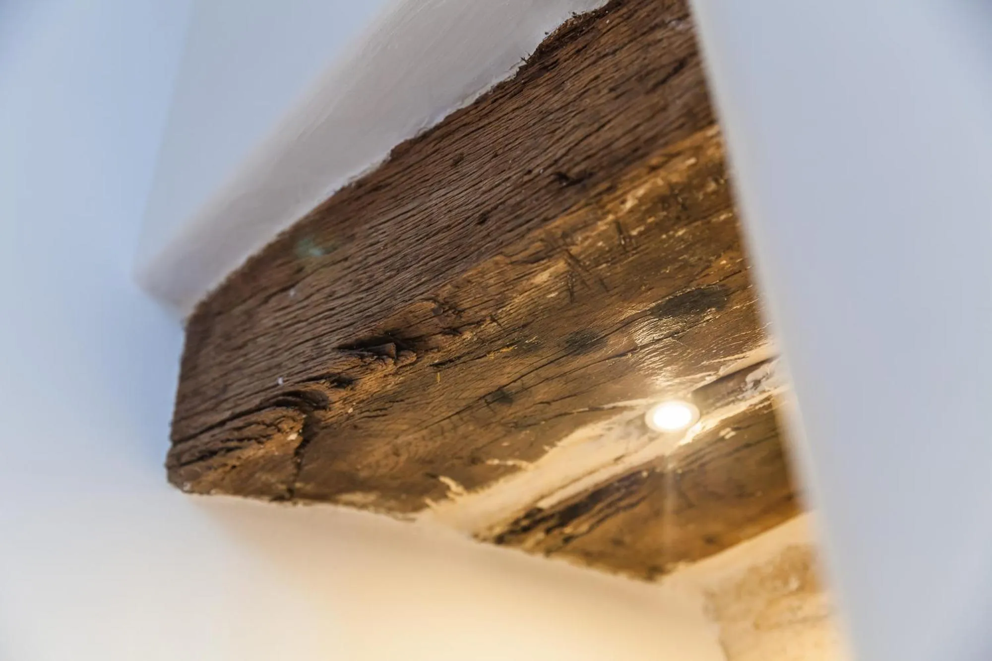 Decorative detail in Palazzo Fiscaiolo