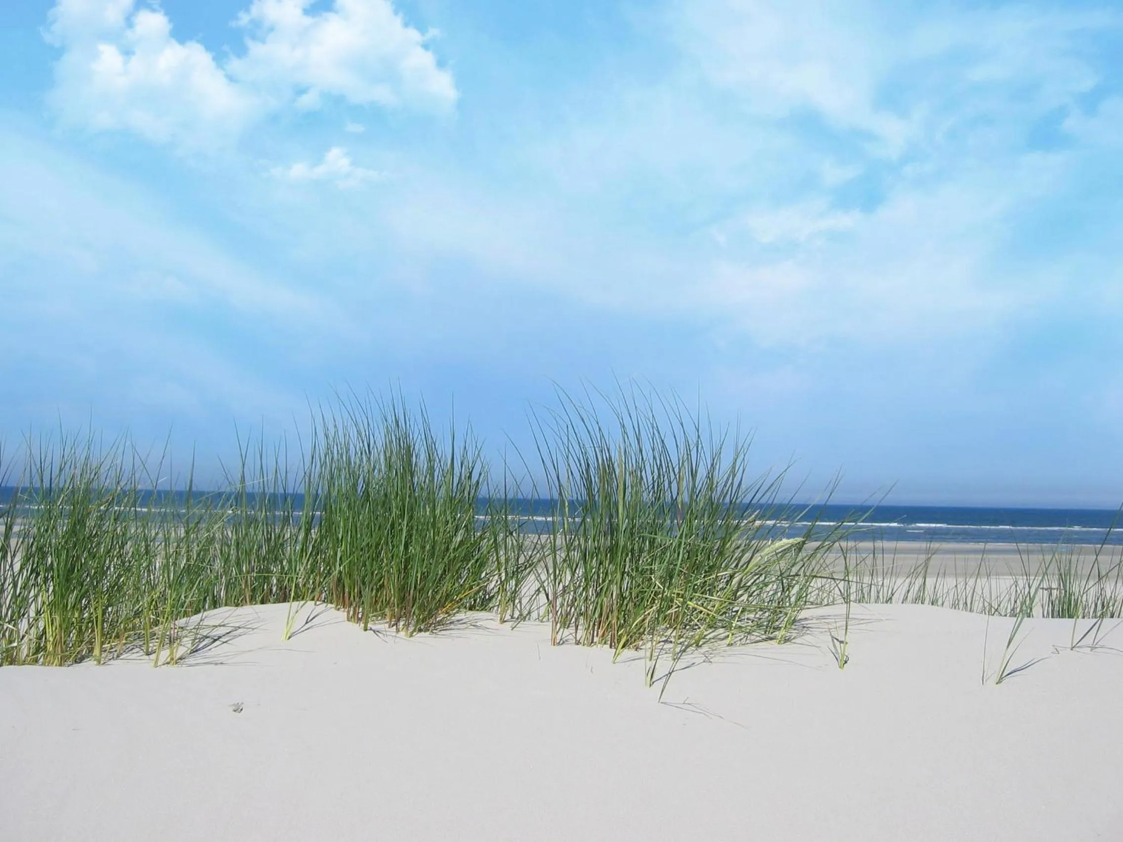 Bed & Breakfast Zeeduinsepoort met Sauna