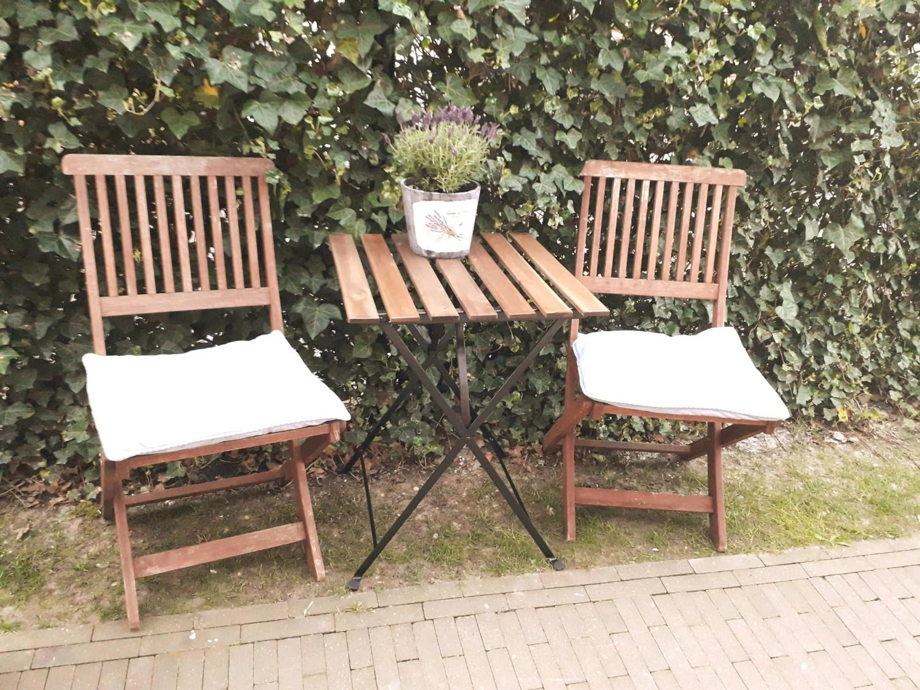 Bed & Breakfast Zeeduinsepoort met Sauna