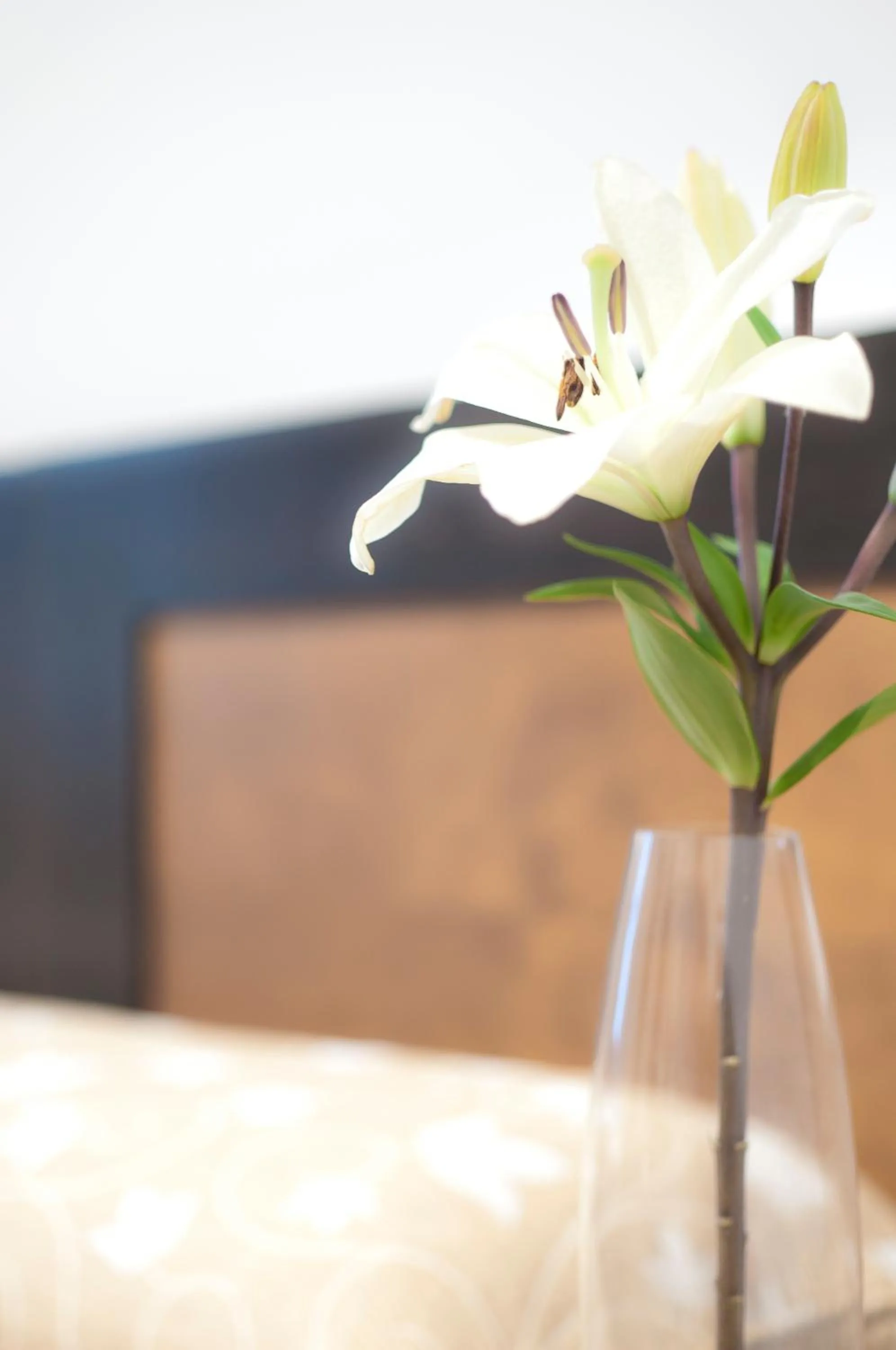 Decorative detail in Hotel Restaurante Blanco y Verde