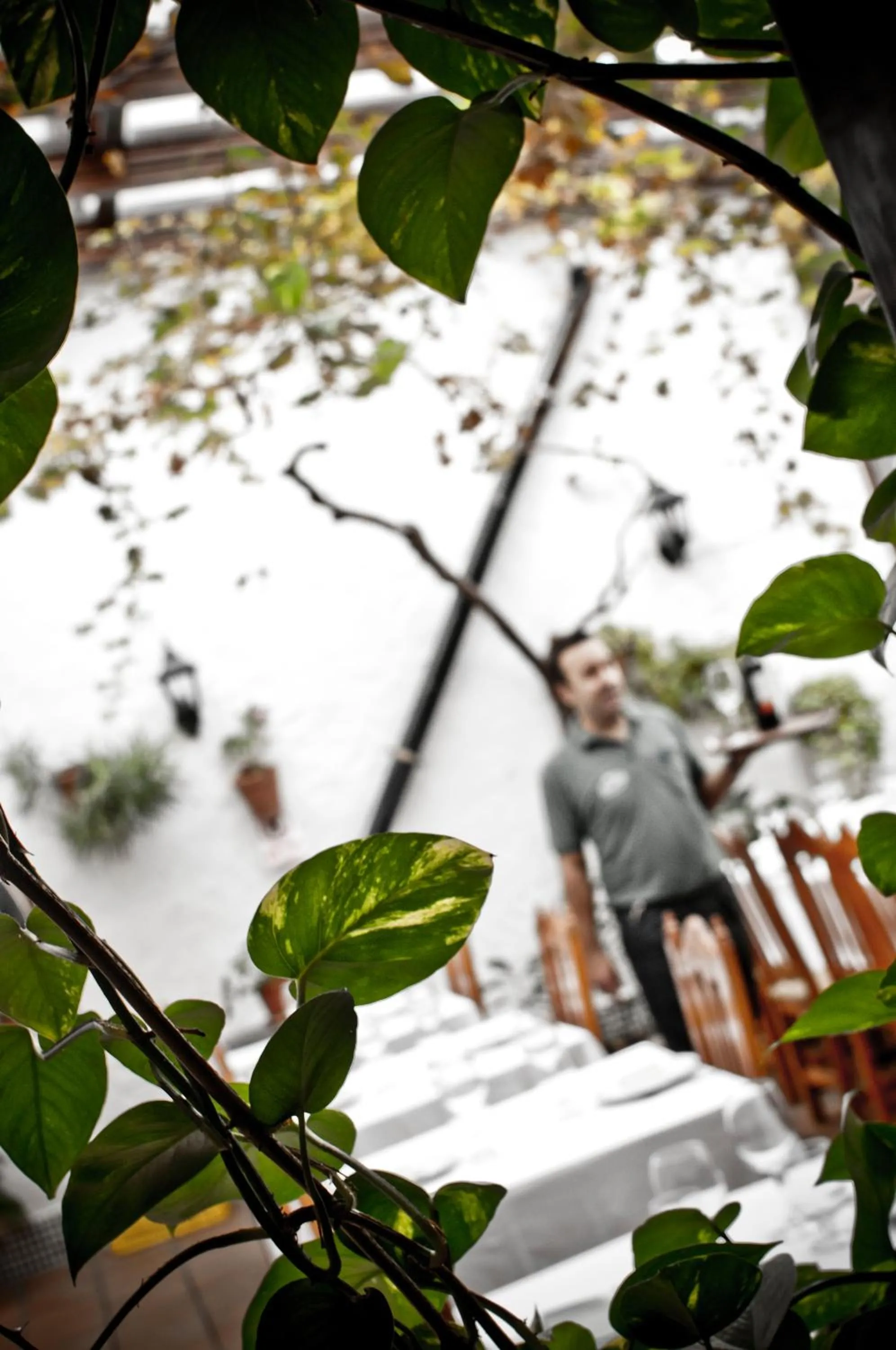 Restaurant/places to eat in Hotel Restaurante Blanco y Verde