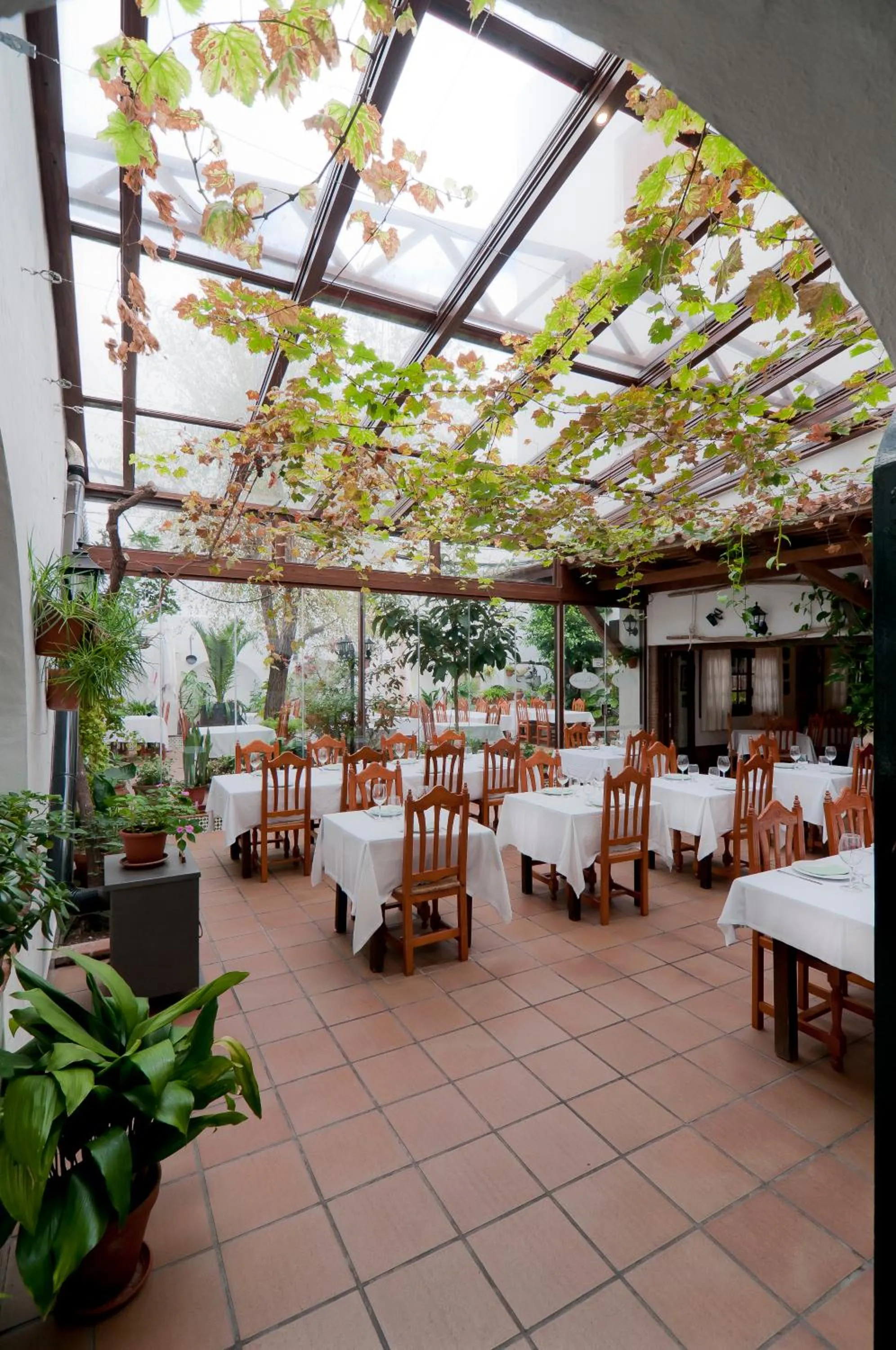 Patio in Hotel Restaurante Blanco y Verde