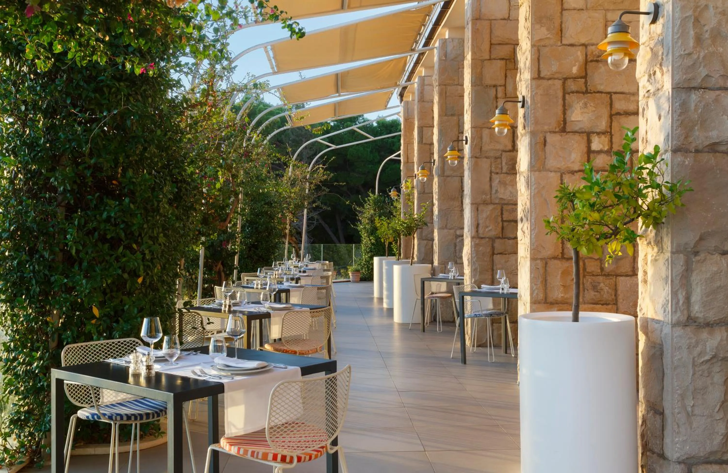 Balcony/Terrace in Bluesun Hotel Jadran