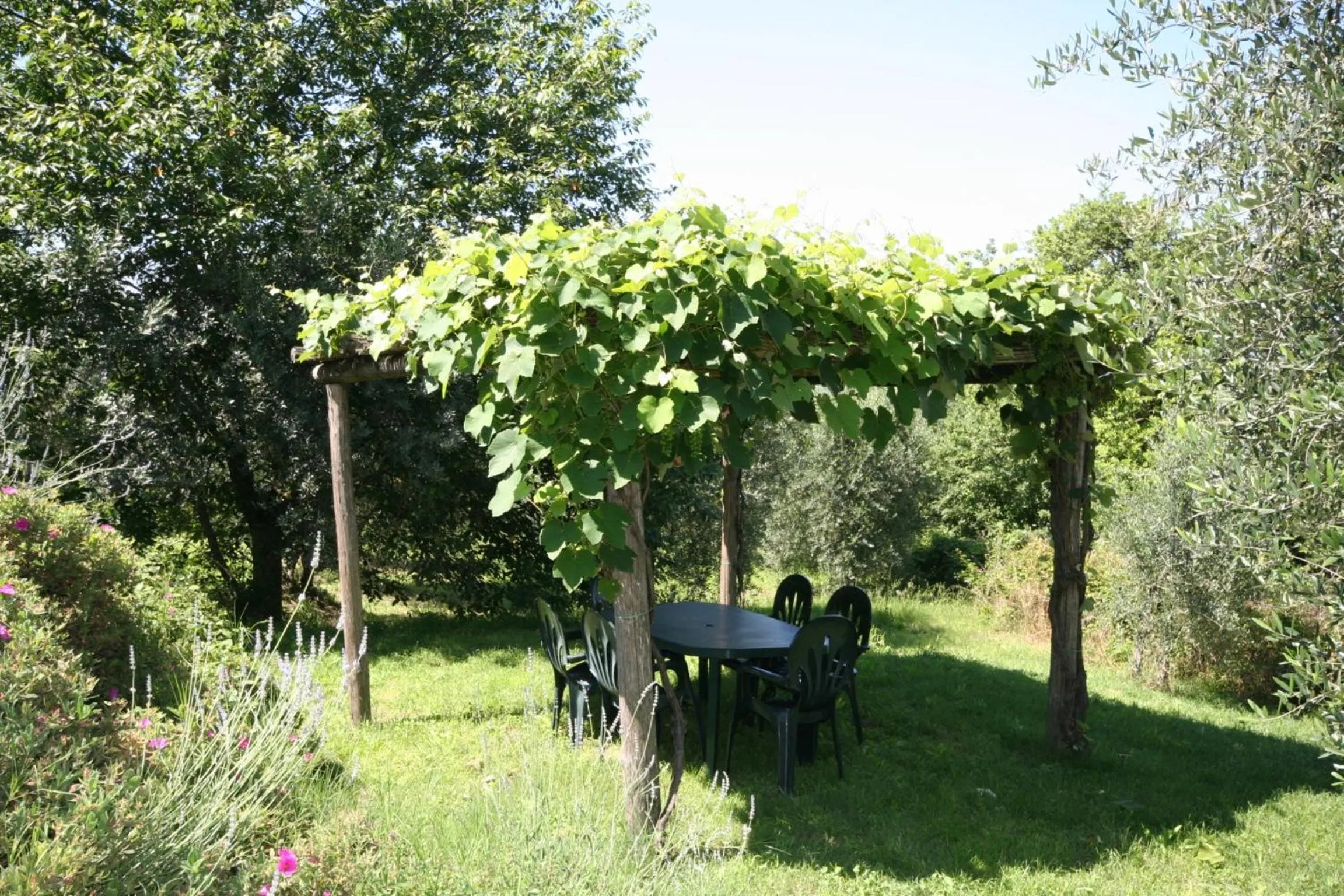 Patio in Podere Il Pino